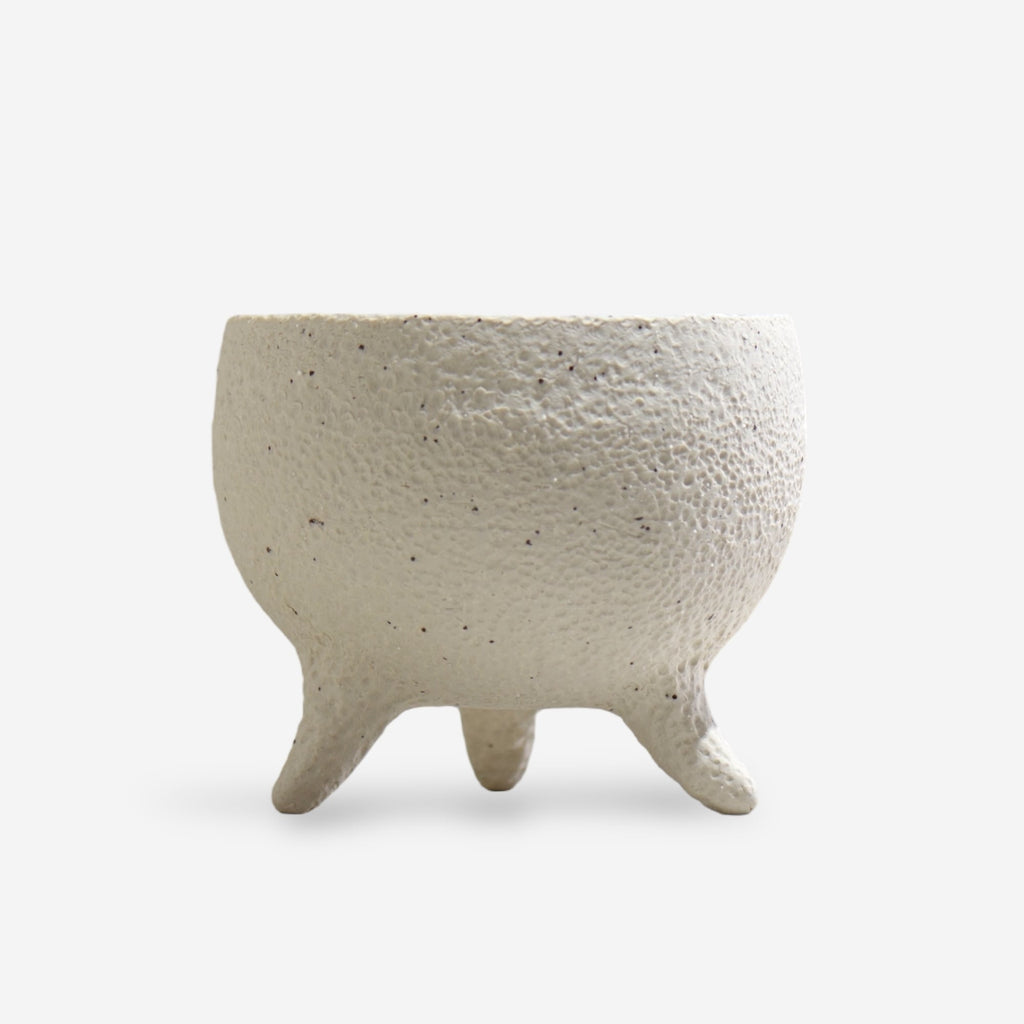 坂尾寛子 / WHITESKY / M/ 約φ13.5cm / 植木鉢