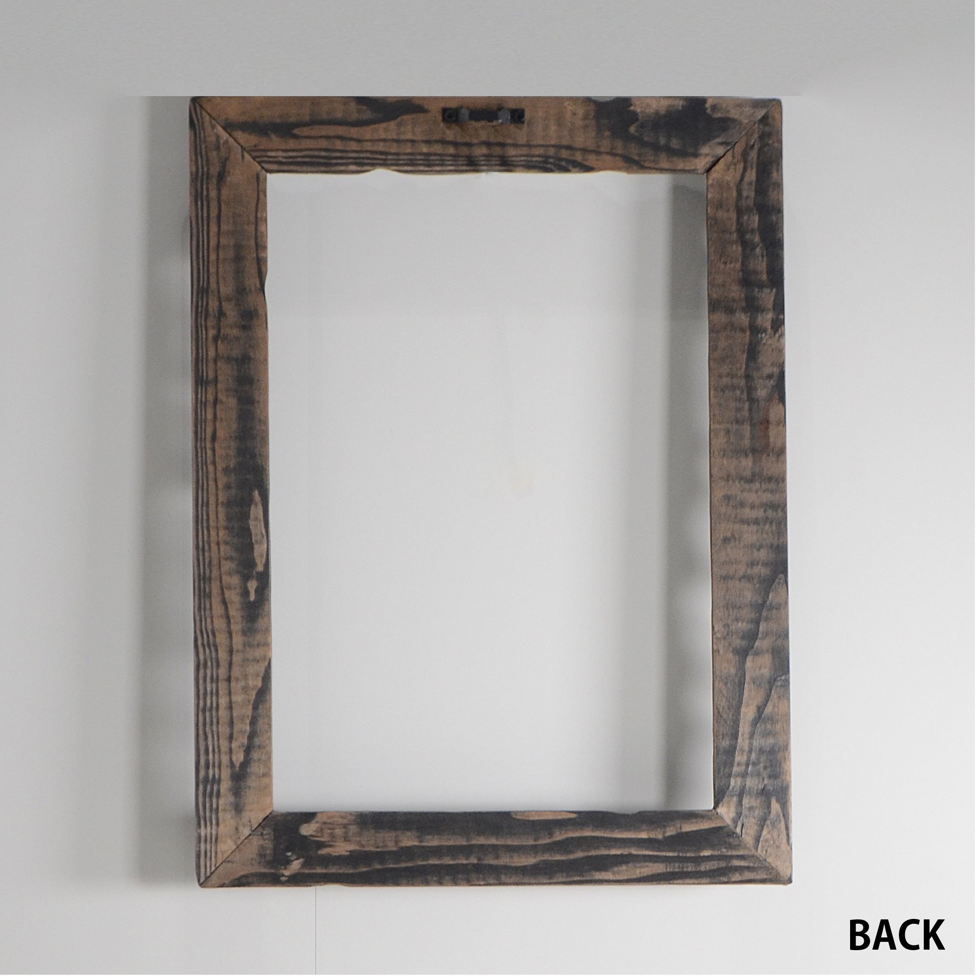 第3ワームホール：com / あぶく /  abuku_02 / W32.7cm × H43.7cm / ビカクシダの額