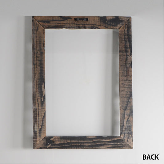 第3ワームホール：com / あぶく /  abuku_02 / W32.7cm × H43.7cm / ビカクシダの額