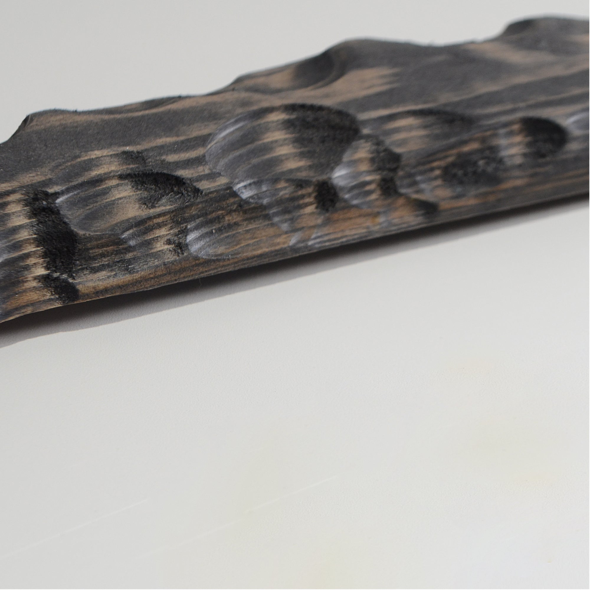 第3ワームホール：com / あぶく /  abuku_02 / W32.7cm × H43.7cm / ビカクシダの額