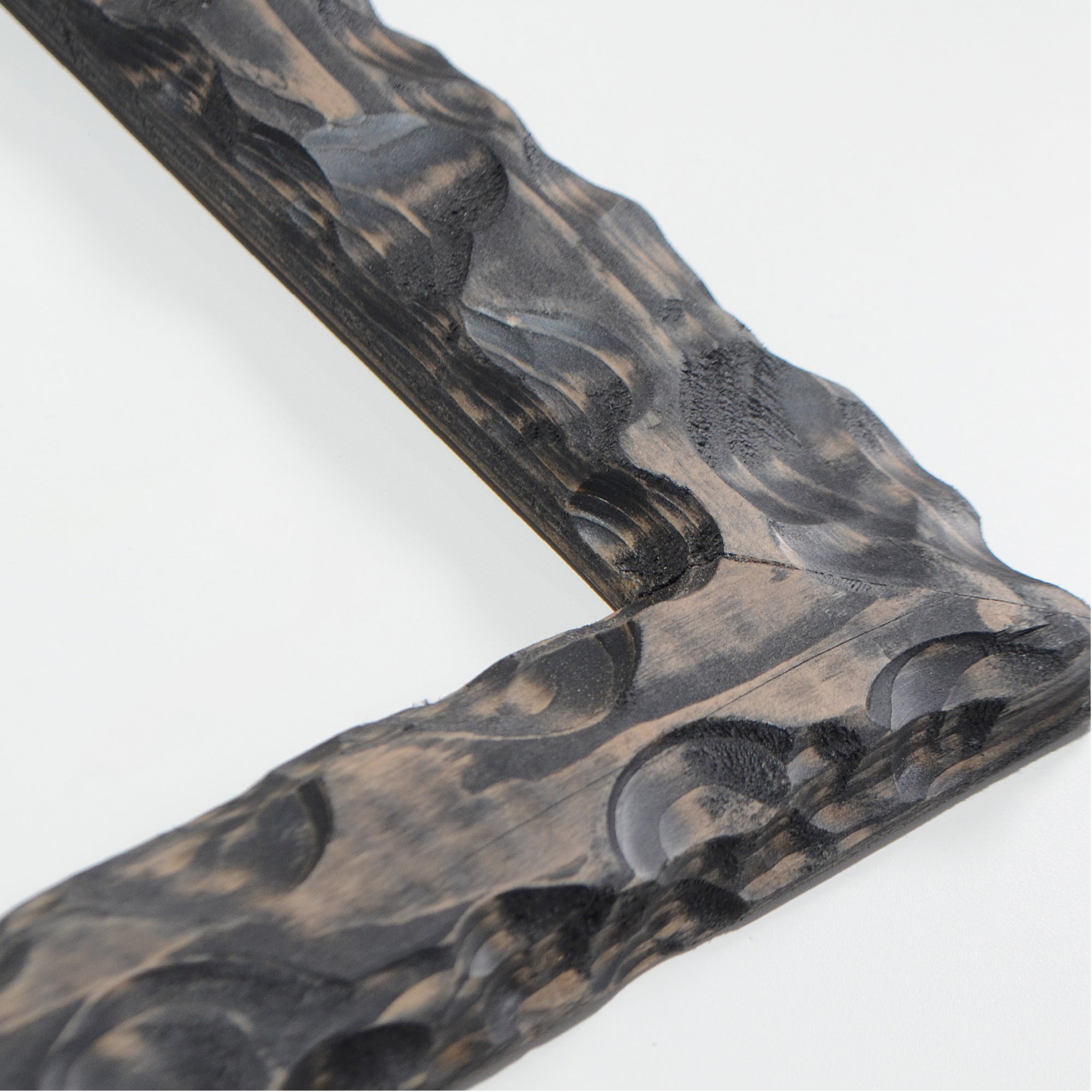 第3ワームホール：com / あぶく /  abuku_02 / W32.7cm × H43.7cm / ビカクシダの額