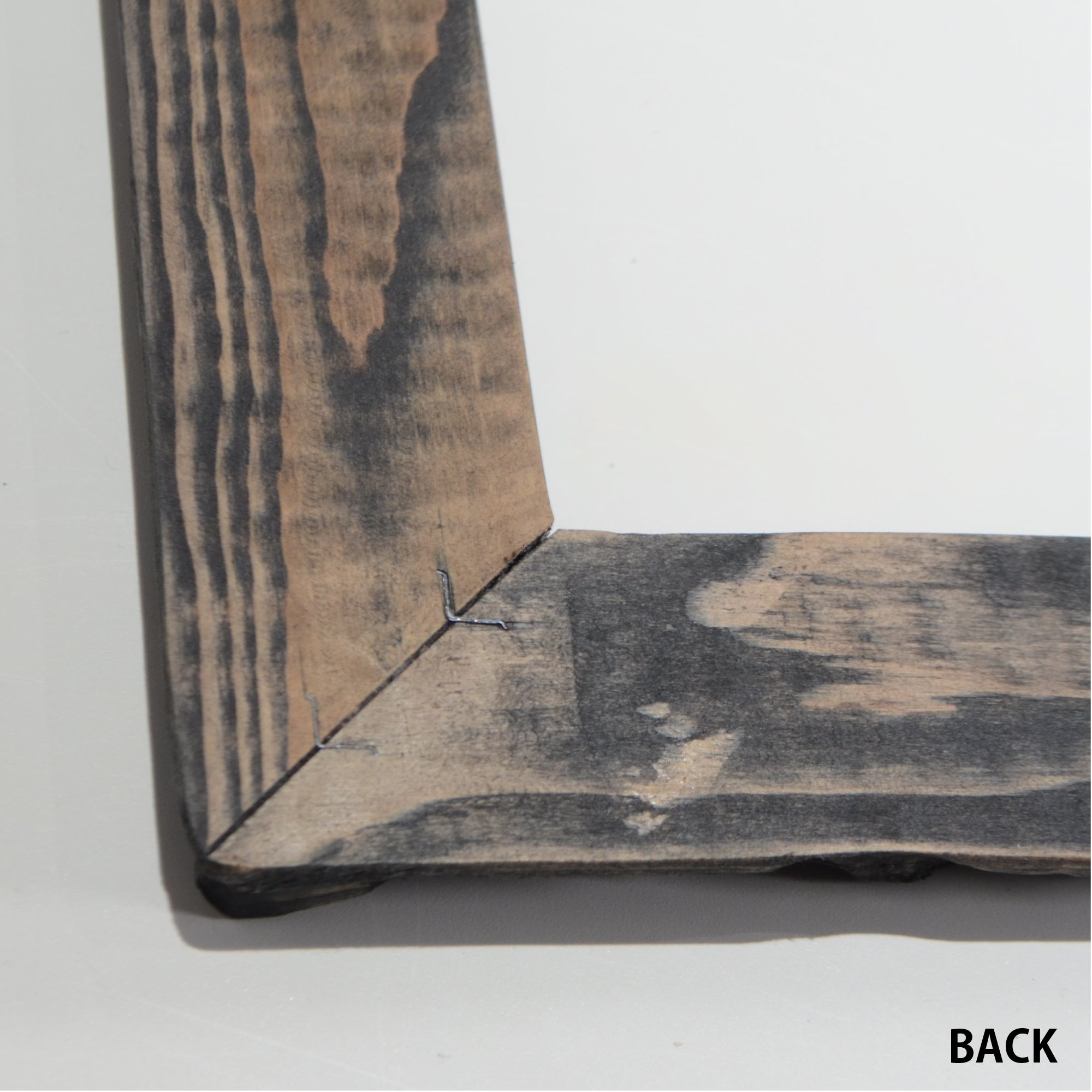 第3ワームホール：com / あぶく /  abuku_02 / W32.7cm × H43.7cm / ビカクシダの額