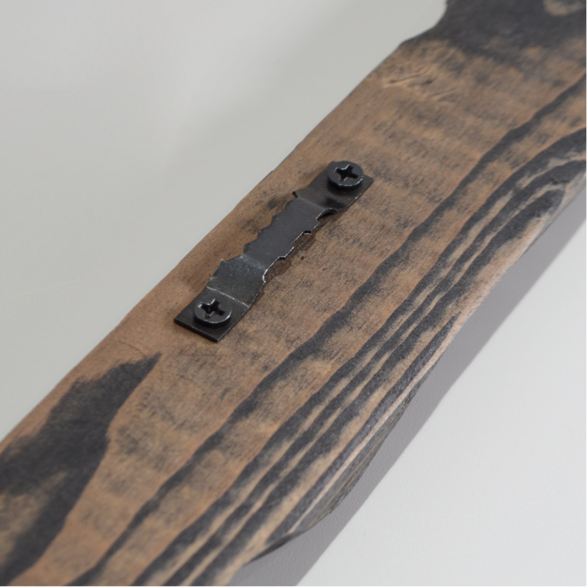第3ワームホール：com / あぶく /  abuku_02 / W32.7cm × H43.7cm / ビカクシダの額