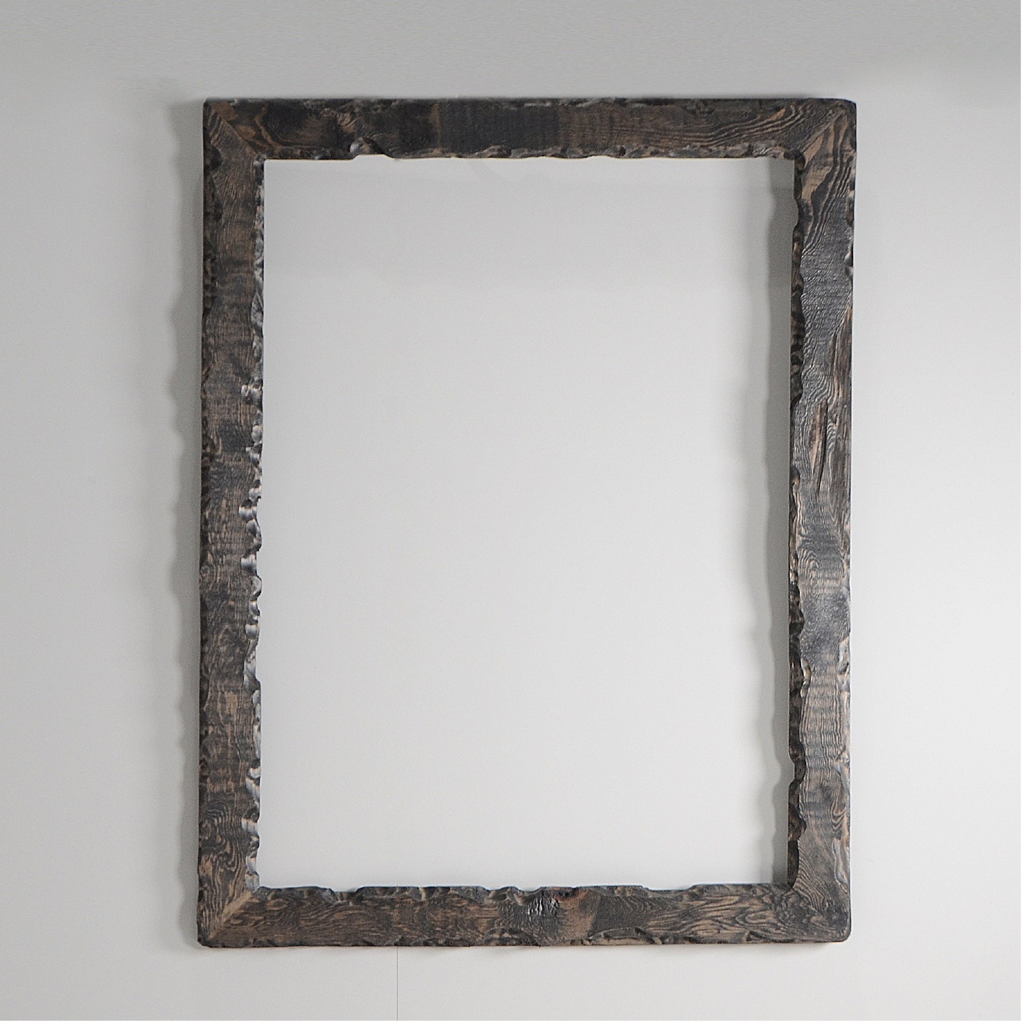 第3ワームホール：com / あぶく /  abuku_05 / W45cm × H59cm / ビカクシダの額