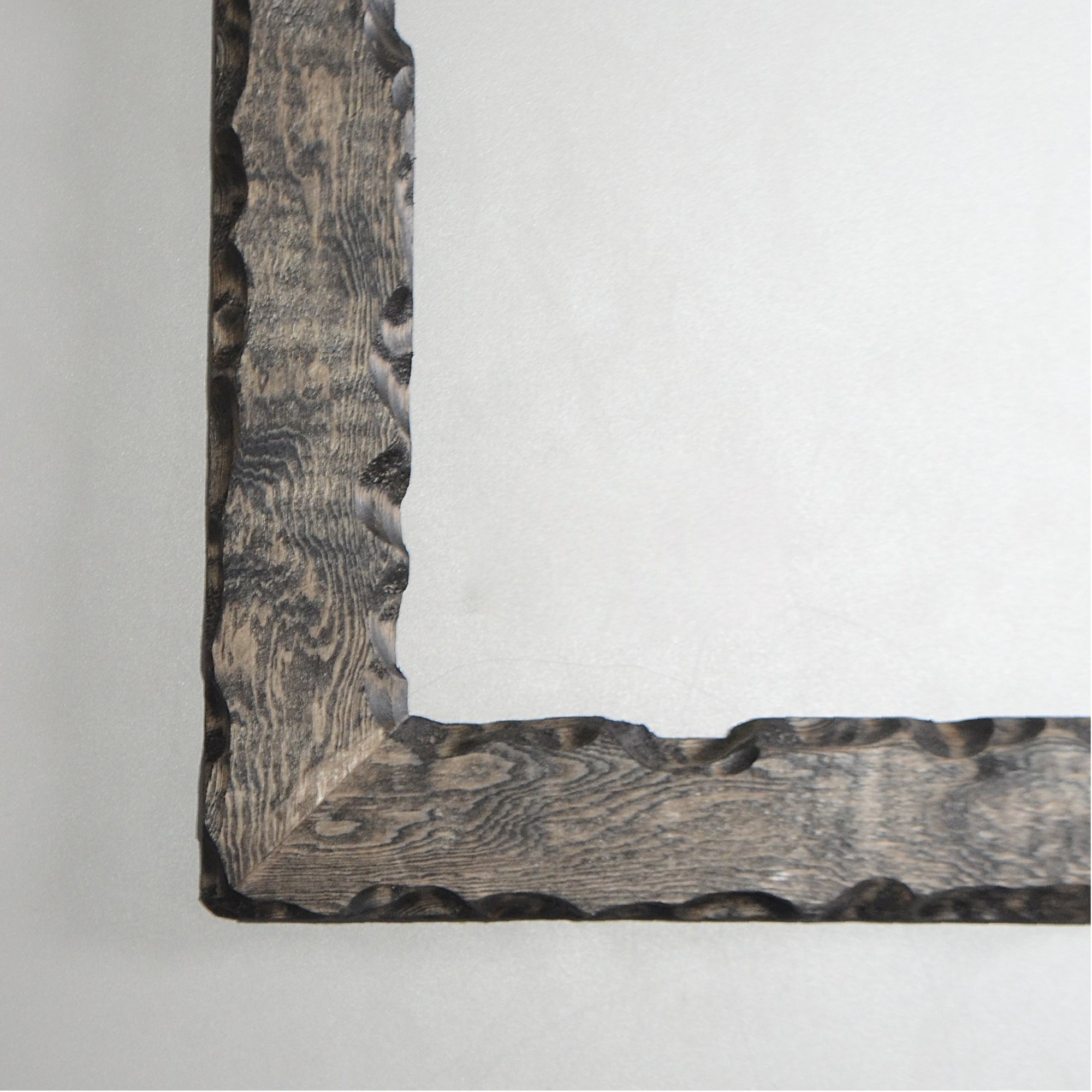 第3ワームホール：com / あぶく /  abuku_05 / W45cm × H59cm / ビカクシダの額