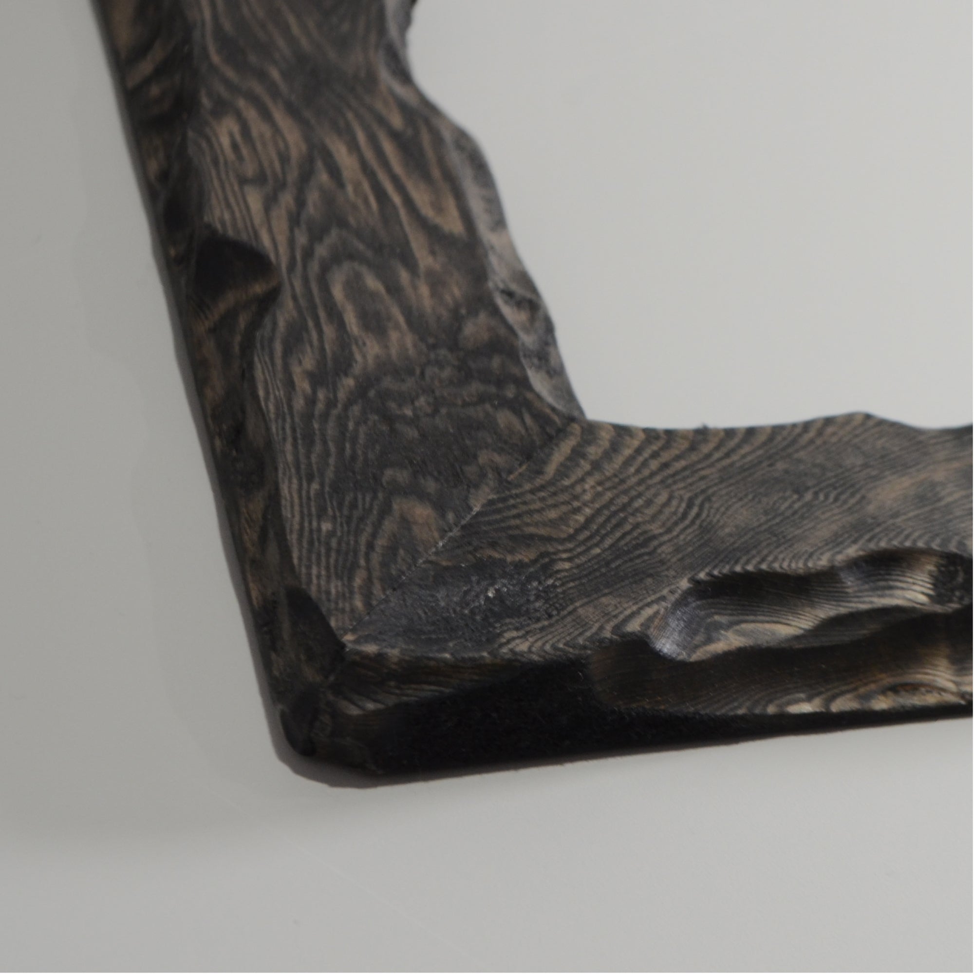 第3ワームホール：com / あぶく /  abuku_05 / W45cm × H59cm / ビカクシダの額