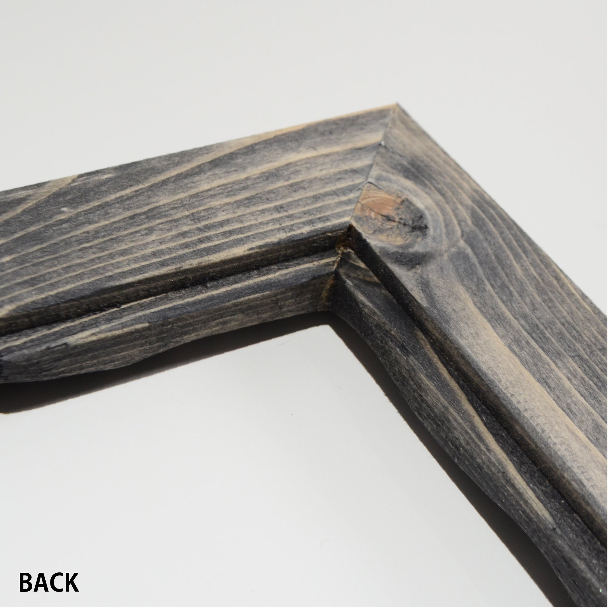 第3ワームホール：com / あぶく杢黒 /  abuku_b_01 / W30.7cm × H35.5cm / ビカクシダの額