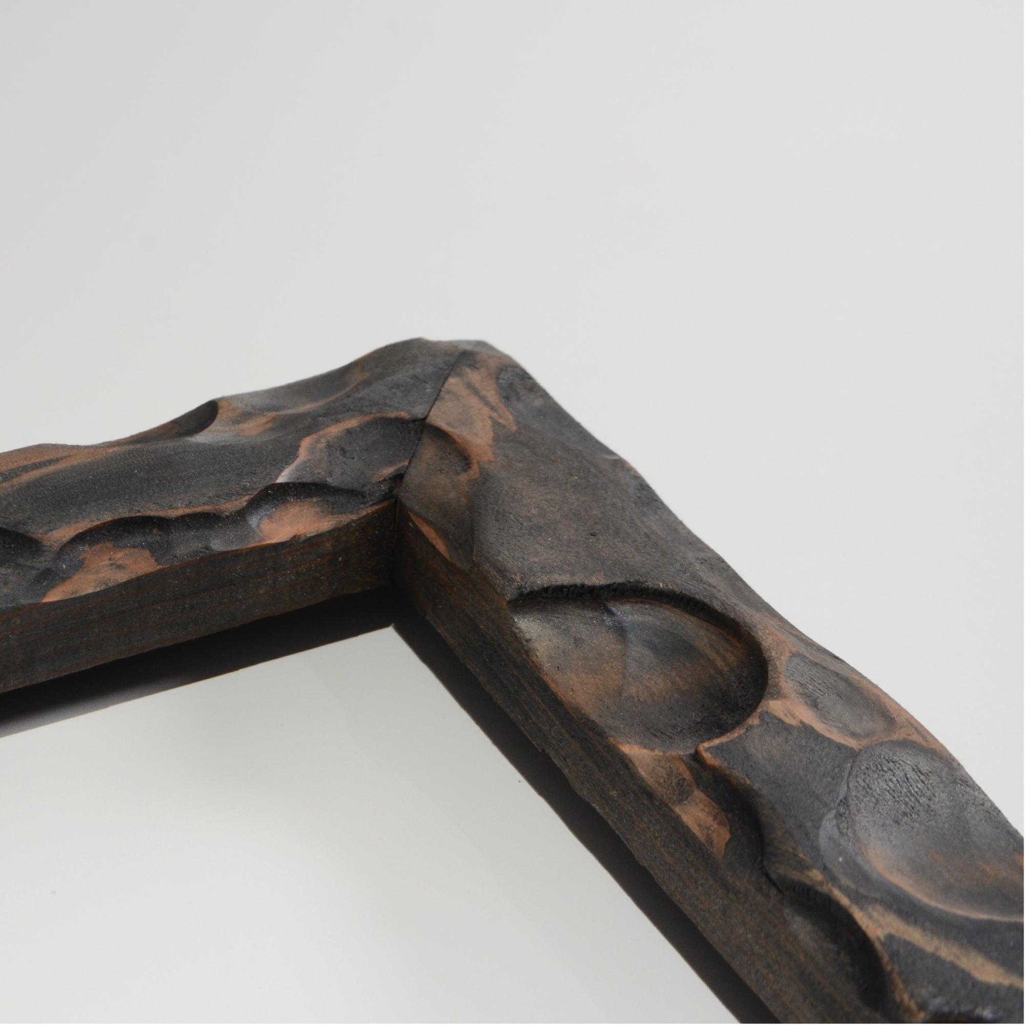 第3ワームホール：com / あぶく杢黒 /  abuku_b_02 / W30.7cm × H35.7cm / ビカクシダの額