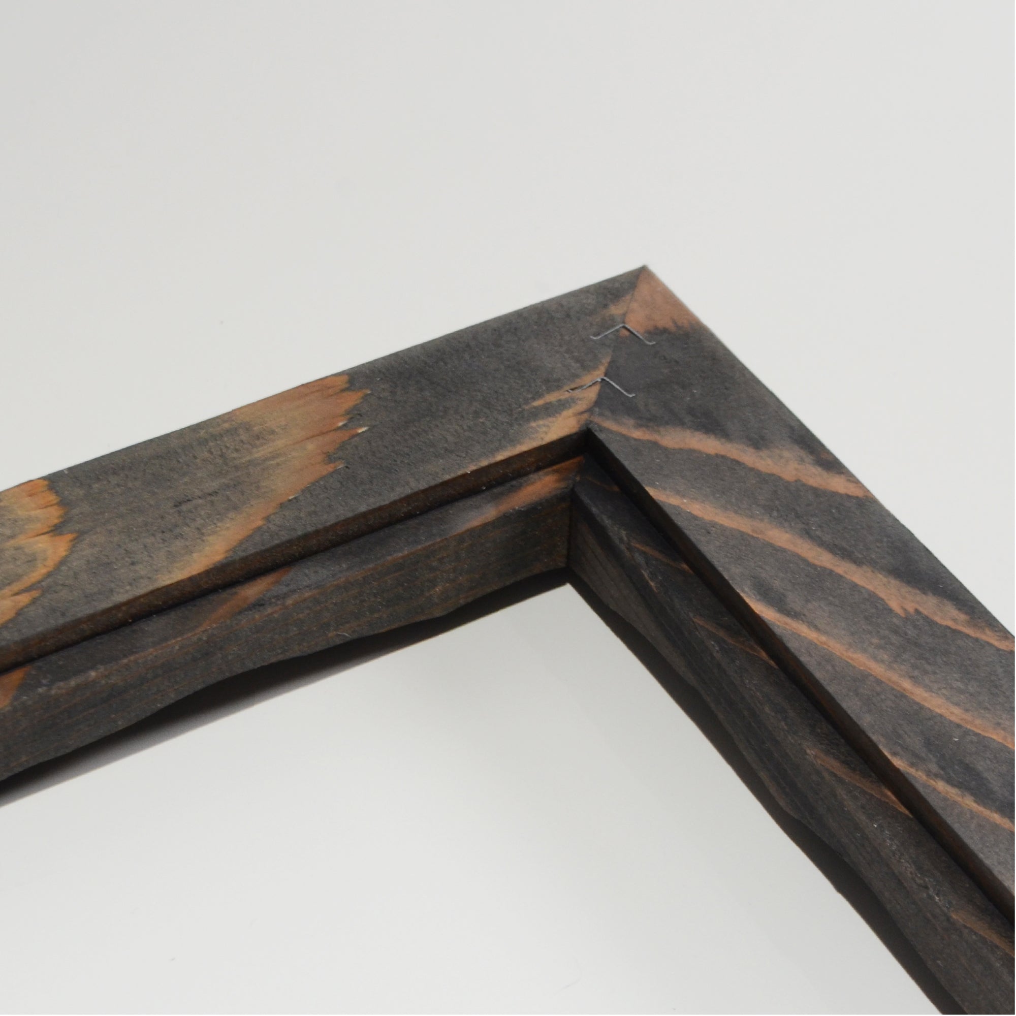 第3ワームホール：com / あぶく杢黒 /  abuku_b_02 / W30.7cm × H35.7cm / ビカクシダの額