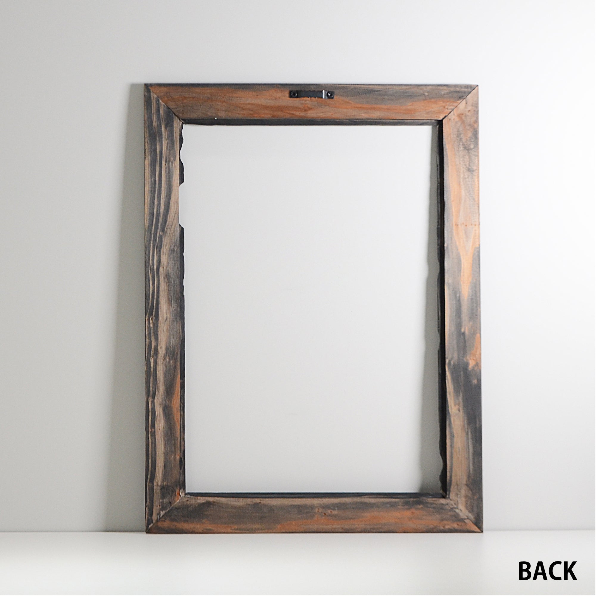 第3ワームホール：com / あぶく杢黒 /  abuku_b_03 / W33.5cm × H44.5cm / ビカクシダの額