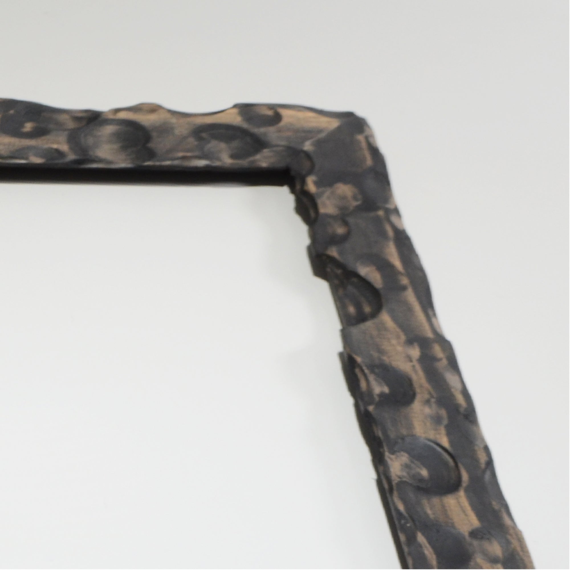 第3ワームホール：com / あぶく杢黒 /  abuku_b_03 / W33.5cm × H44.5cm / ビカクシダの額