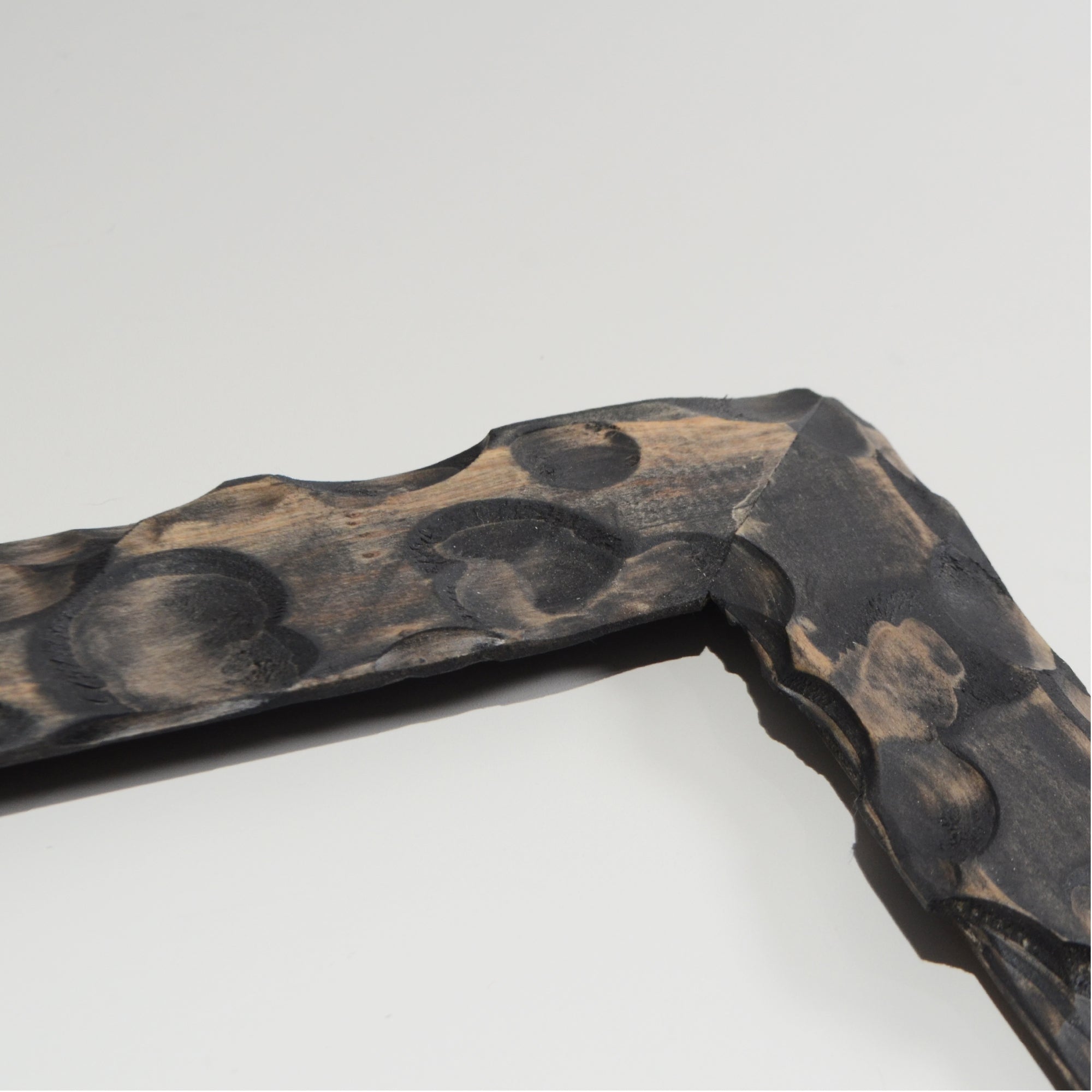 第3ワームホール：com / あぶく杢黒 /  abuku_b_03 / W33.5cm × H44.5cm / ビカクシダの額