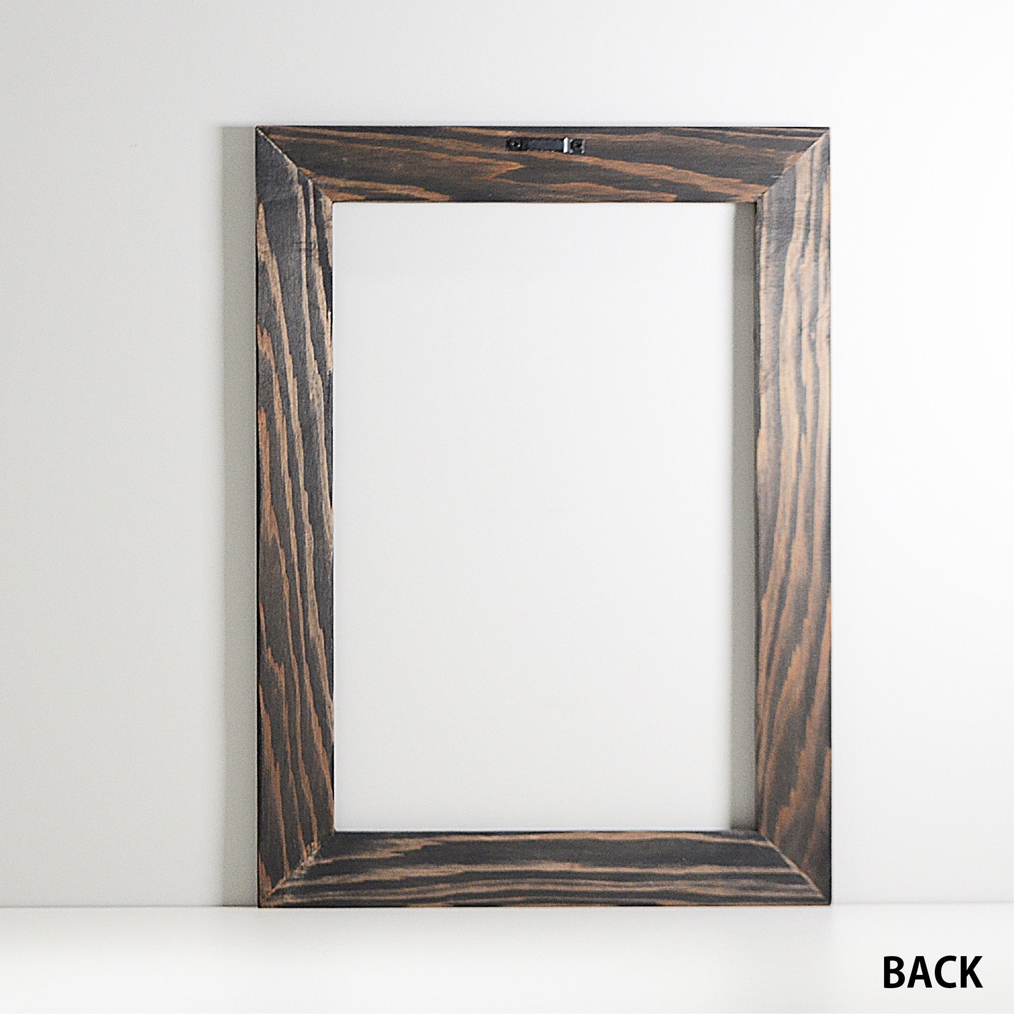 第3ワームホール：com / あぶく杢黒 /  abuku_b_04 / W33.5cm × H45.5cm / ビカクシダの額