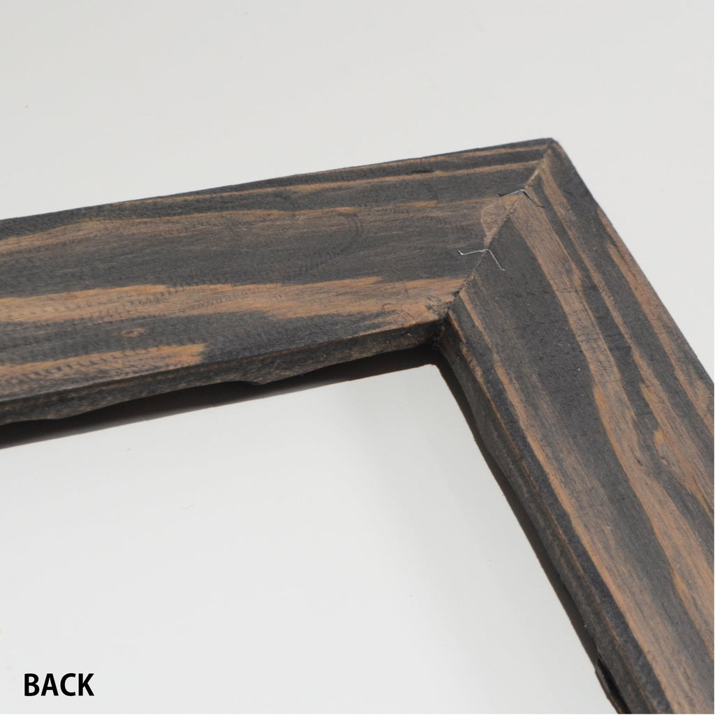 第3ワームホール：com / あぶく杢黒 /  abuku_b_04 / W33.5cm × H45.5cm / ビカクシダの額