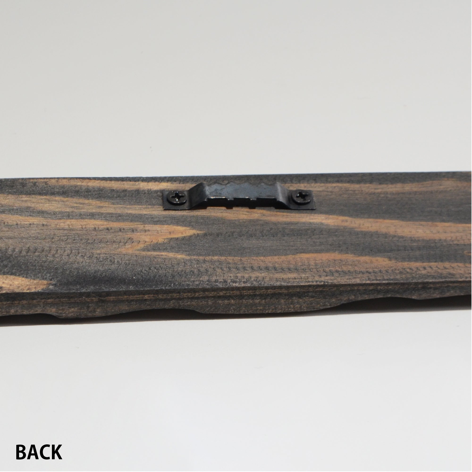 第3ワームホール：com / あぶく杢黒 /  abuku_b_04 / W33.5cm × H45.5cm / ビカクシダの額