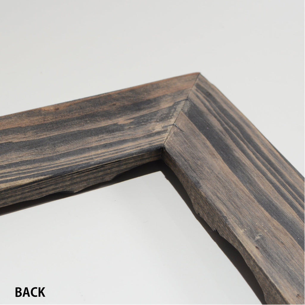 第3ワームホール：com / あぶく杢黒 /  abuku_b_05 / W33cm × H44.5cm / ビカクシダの額