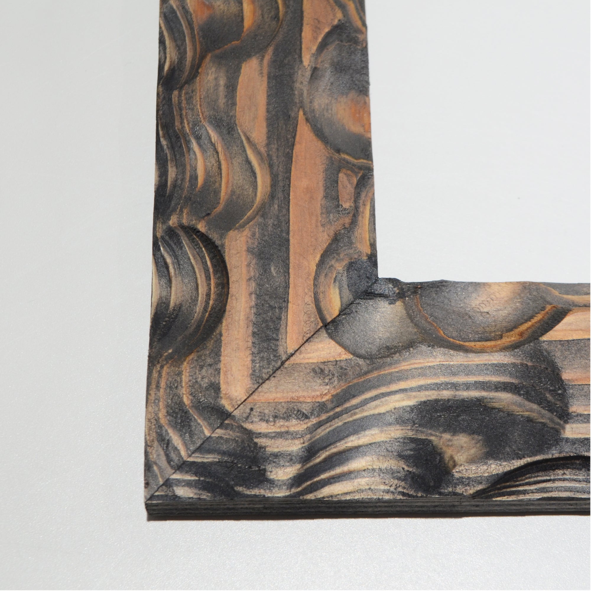 第3ワームホール：com / あぶく杢黒 /  abuku_b_05 / W33cm × H44.5cm / ビカクシダの額