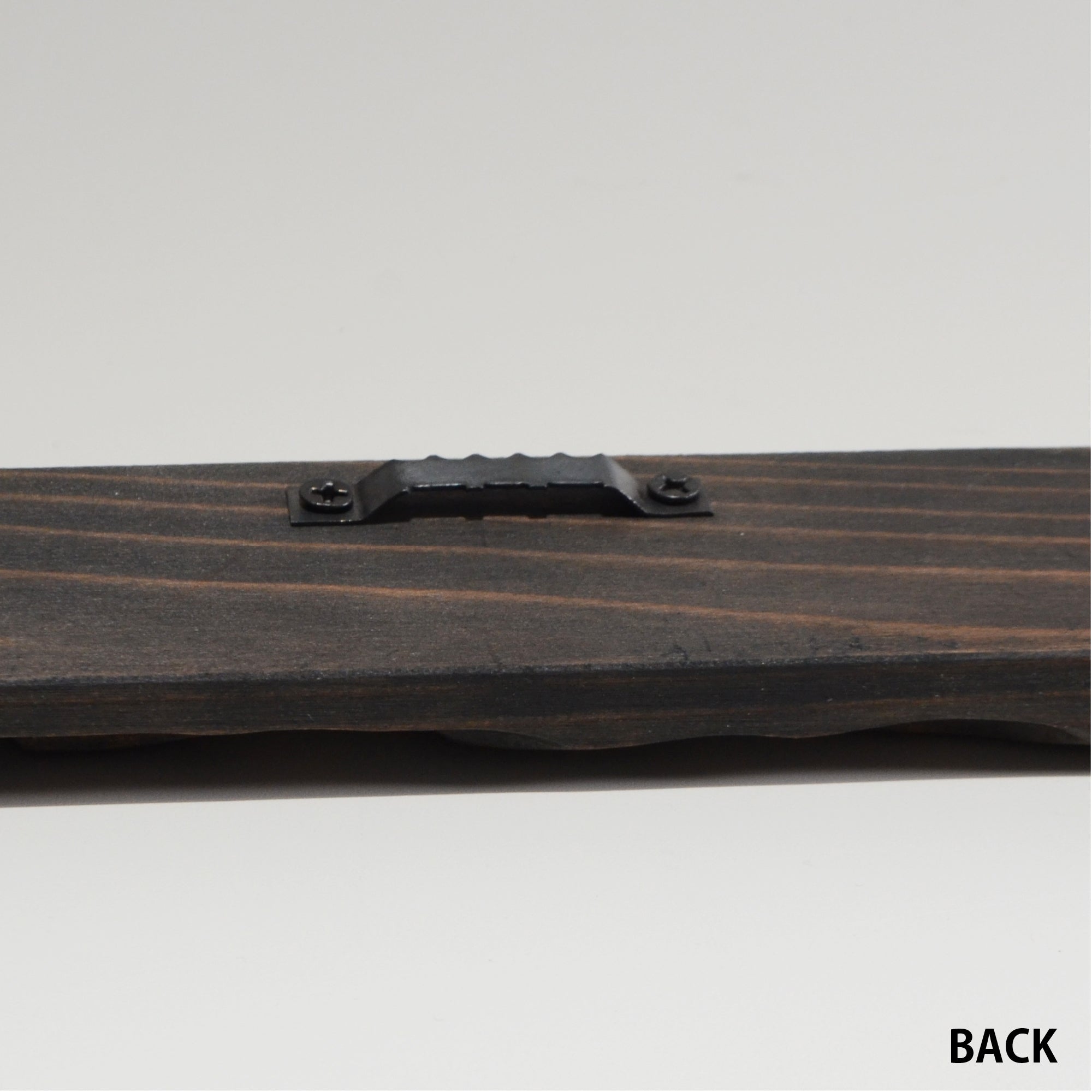第3ワームホール：com / あぶく杢黒 /  abuku_b_06 / W34cm × H45.4cm / ビカクシダの額