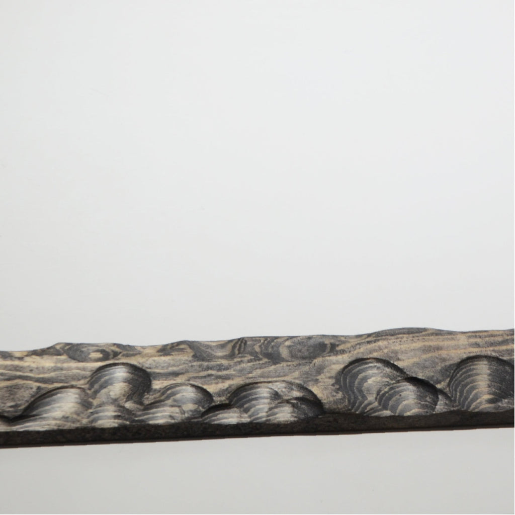 第3ワームホール：com / あぶく杢黒 /  abuku_b_07 / W45.5cm × H59.3cm / ビカクシダの額