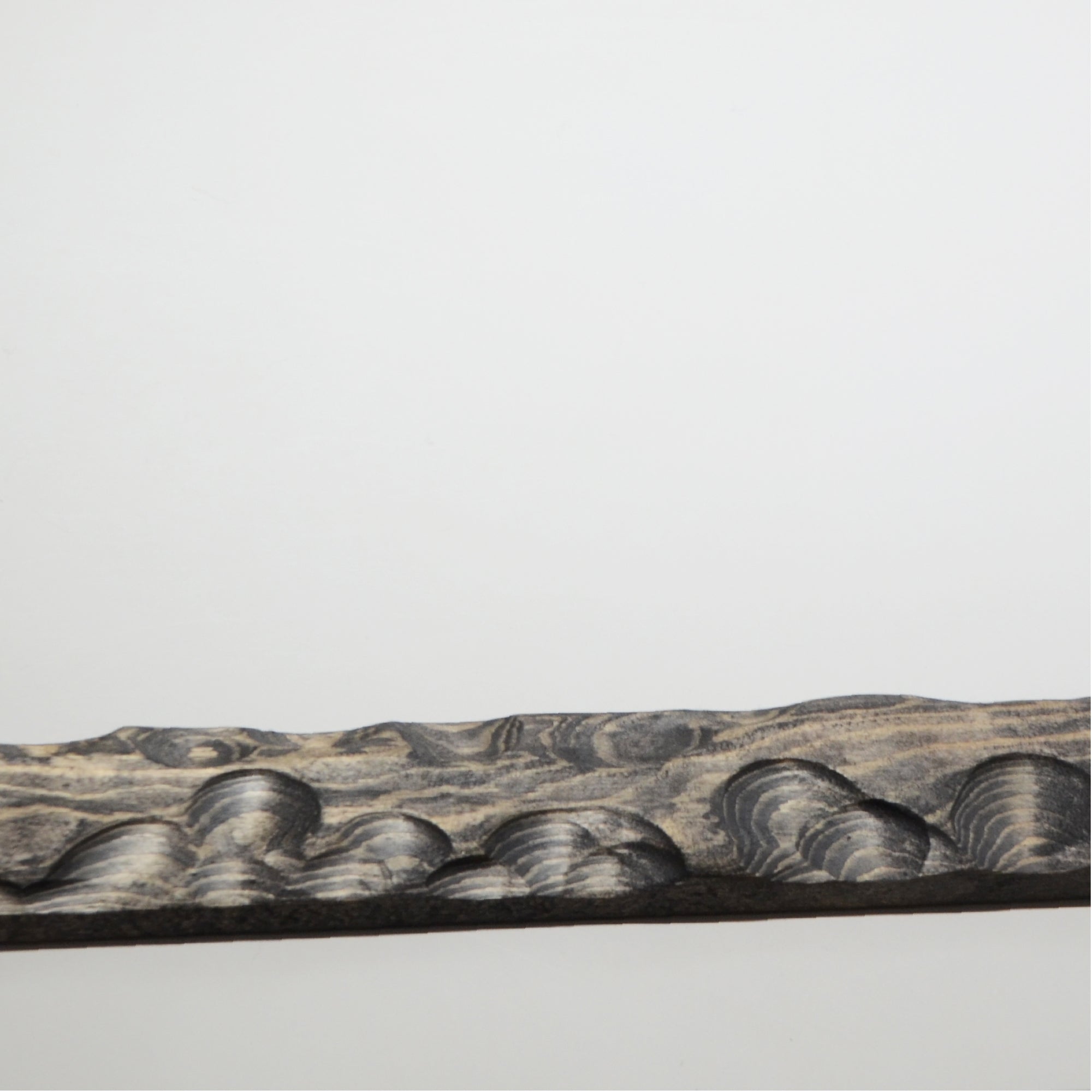 第3ワームホール：com / あぶく杢黒 /  abuku_b_07 / W45.5cm × H59.3cm / ビカクシダの額