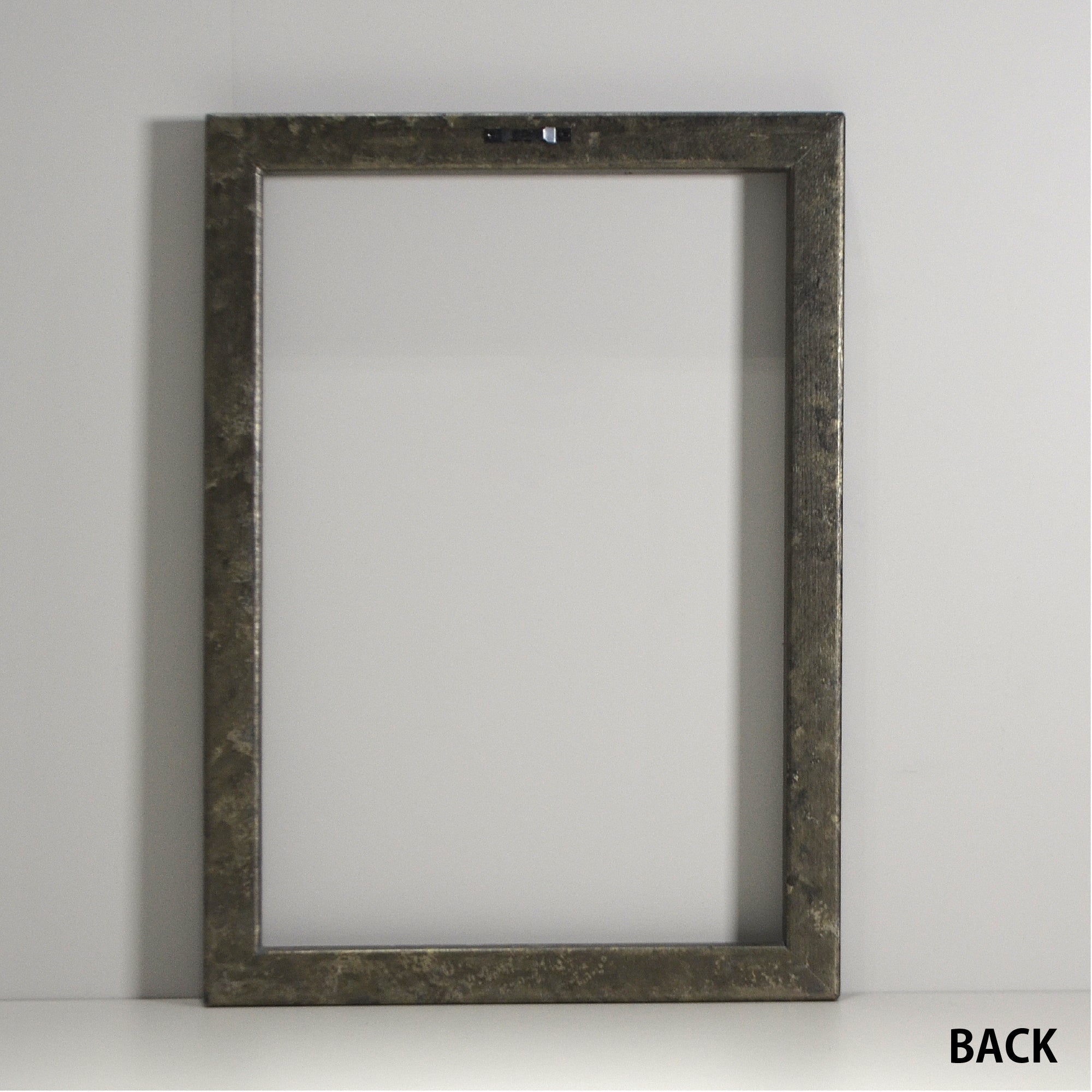 第3ワームホール：com / あぶくオリーブ /  abuku_09 / W35cm × H41cm / ビカクシダの額