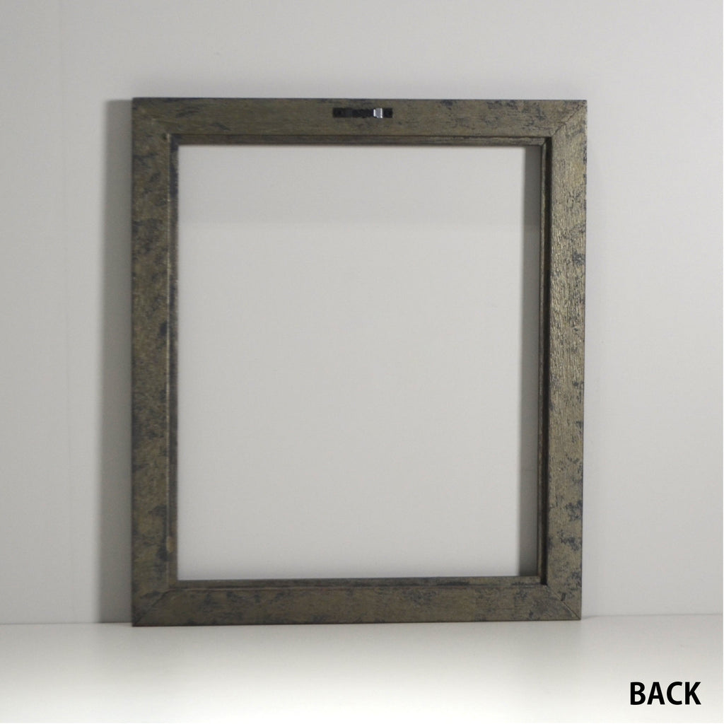 第3ワームホール：com / あぶく プラトー /  abuku_10 / W33.5cm × H45.7cm / ビカクシダの額