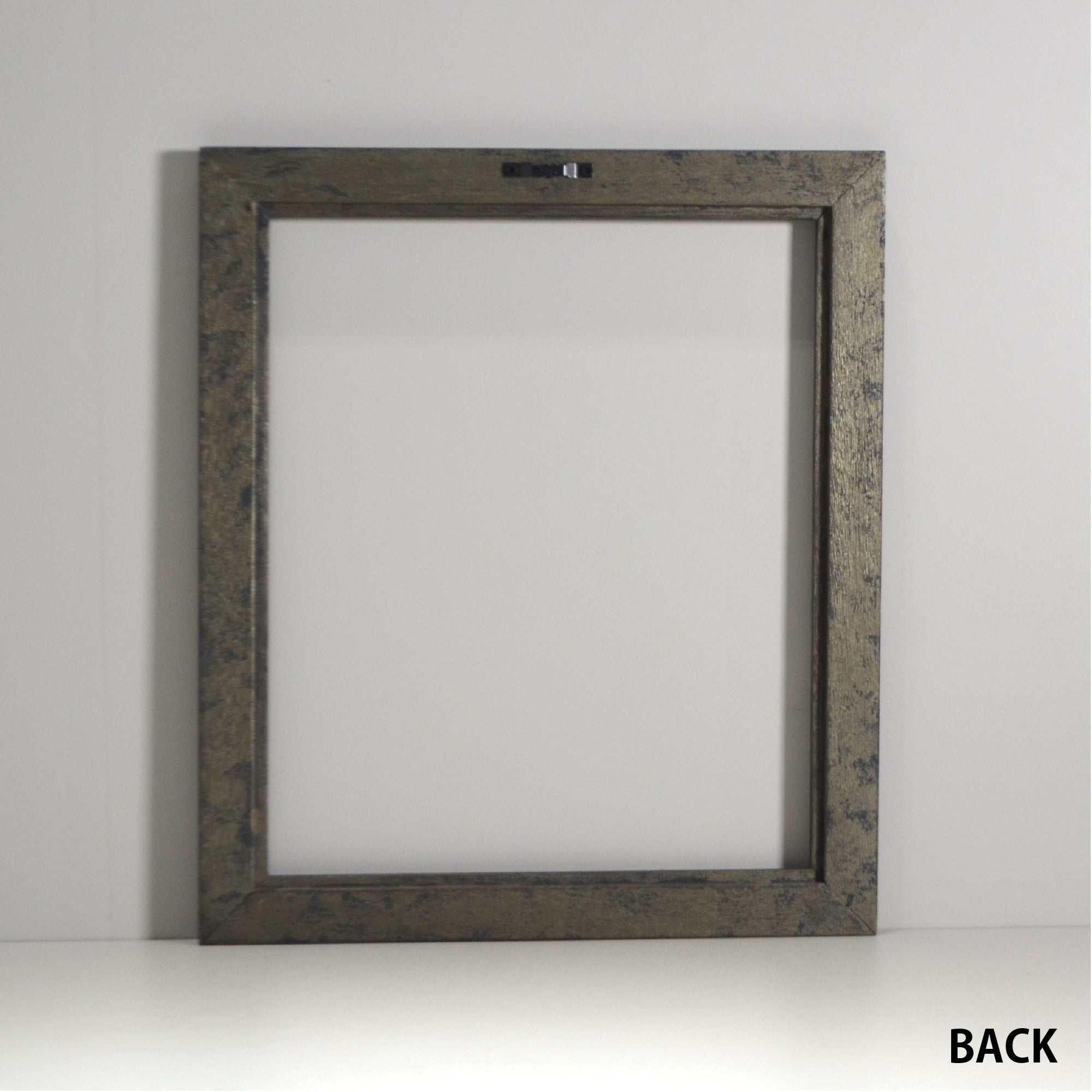 第3ワームホール：com / あぶく プラトー /  abuku_10 / W33.5cm × H45.7cm / ビカクシダの額