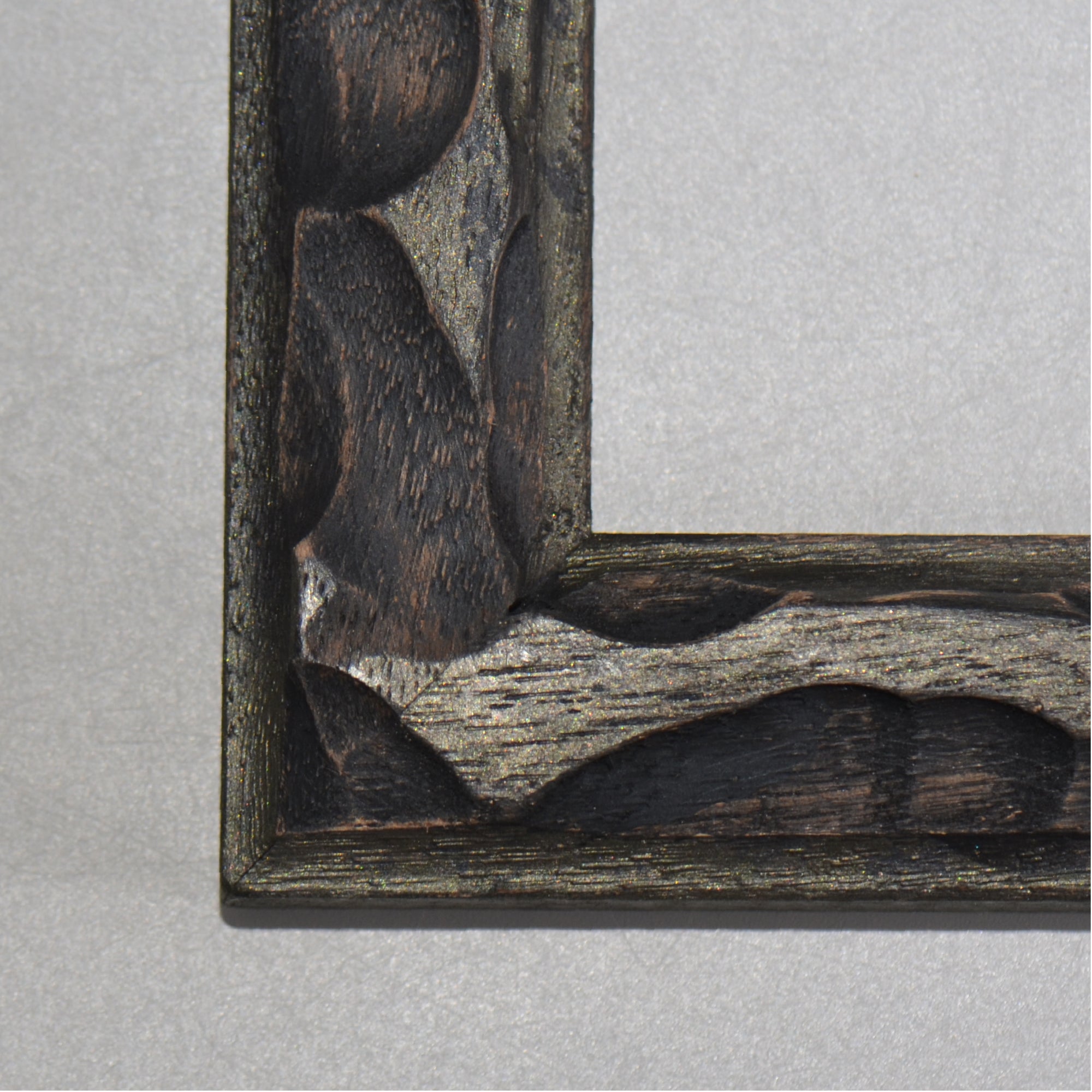 第3ワームホール：com / あぶく プラトー /  abuku_10 / W33.5cm × H45.7cm / ビカクシダの額