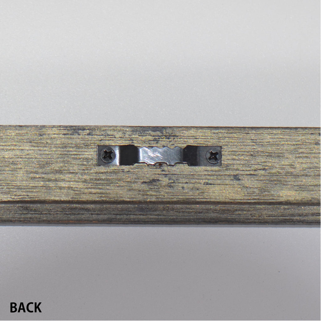 第3ワームホール：com / あぶく プラトー /  abuku_10 / W33.5cm × H45.7cm / ビカクシダの額