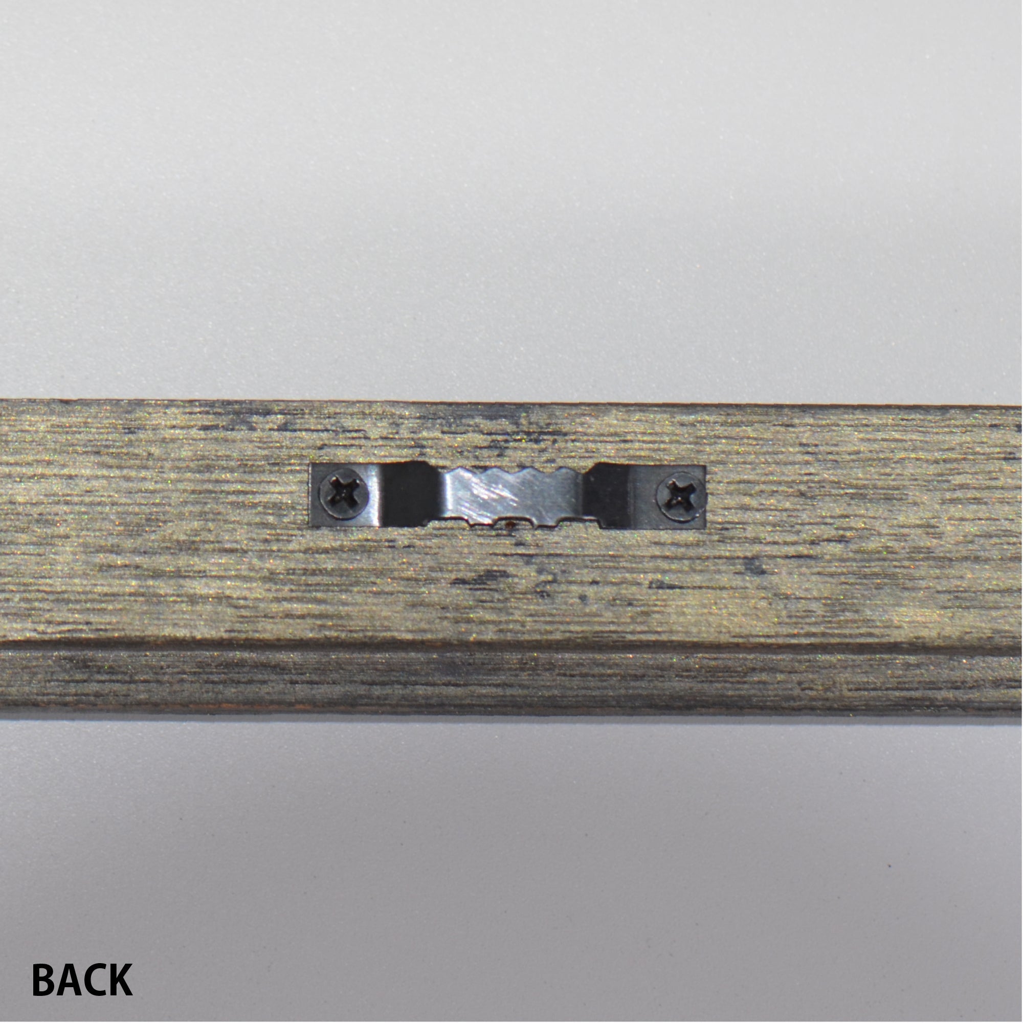 第3ワームホール：com / あぶく プラトー /  abuku_10 / W33.5cm × H45.7cm / ビカクシダの額