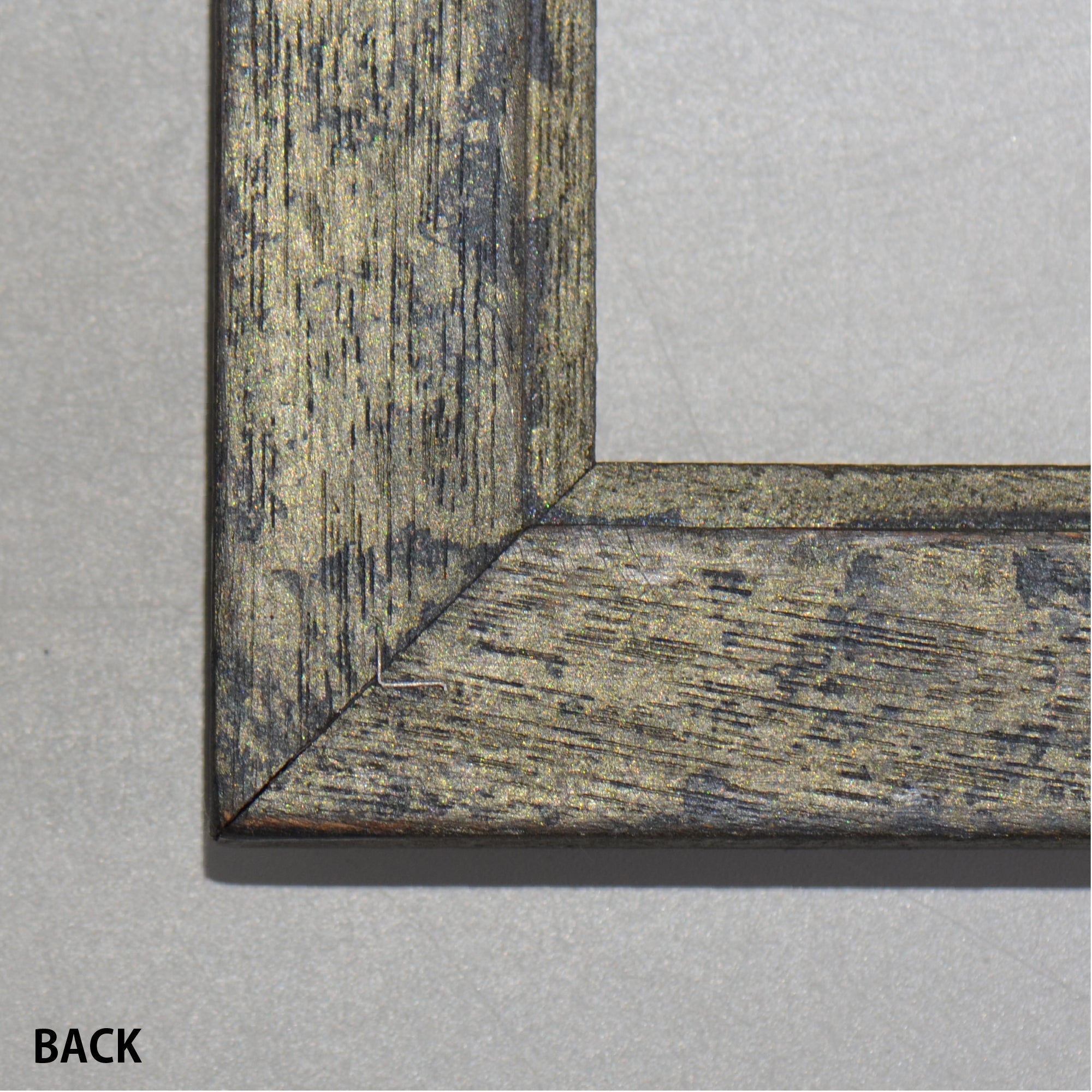 第3ワームホール：com / あぶく プラトー /  abuku_10 / W33.5cm × H45.7cm / ビカクシダの額