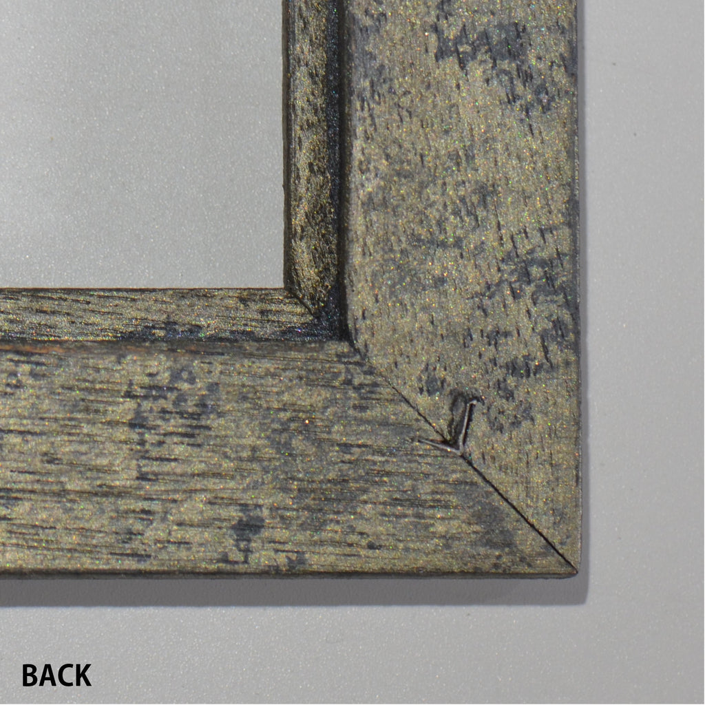 第3ワームホール：com / あぶく プラトー /  abuku_10 / W33.5cm × H45.7cm / ビカクシダの額