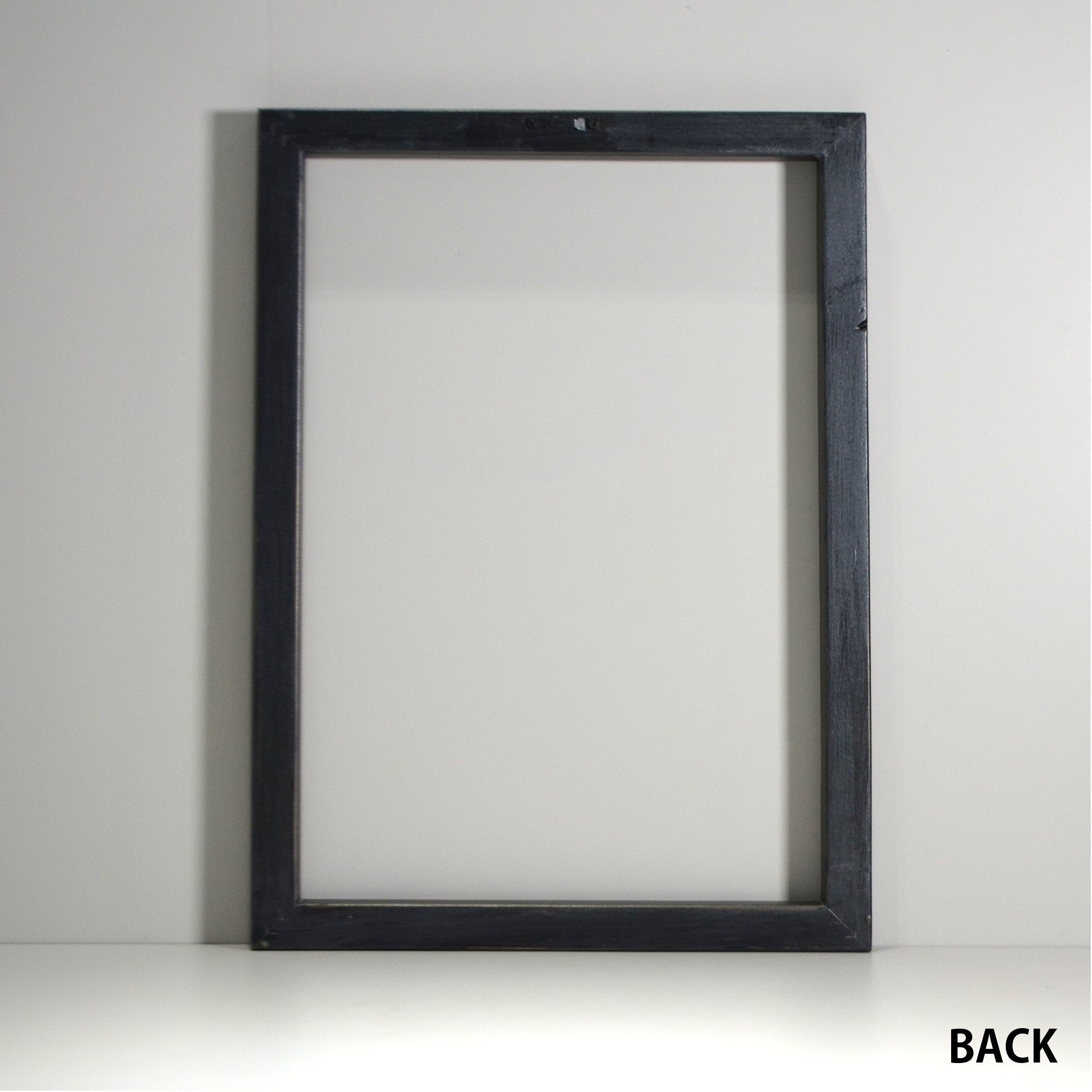 第3ワームホール：com / あぶく 深森 /  abuku_11 / W38cm × H53.5cm / ビカクシダの額