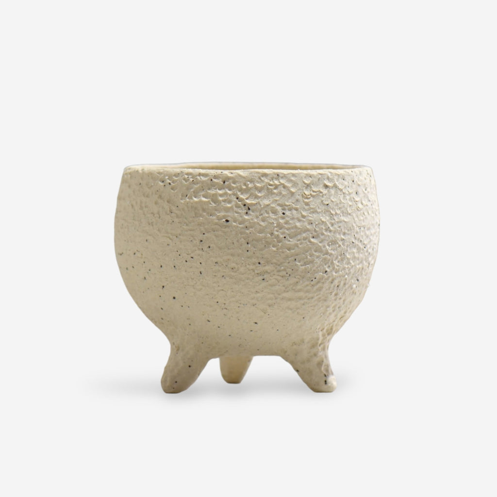 坂尾寛子 / WHITESKY / S / 約φ11.0cm / 植木鉢