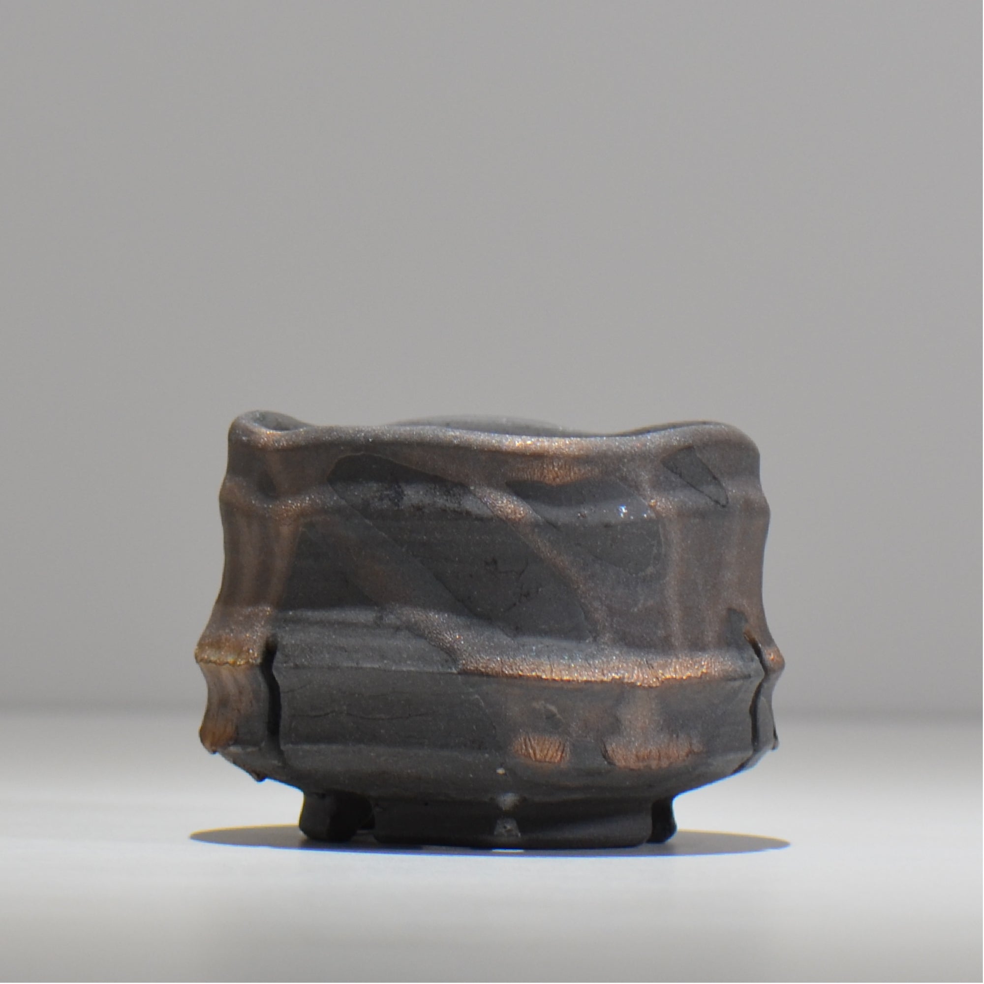 塊根植物・観葉植物の植木鉢専門店 「HACHILABO - ハチラボ- 」