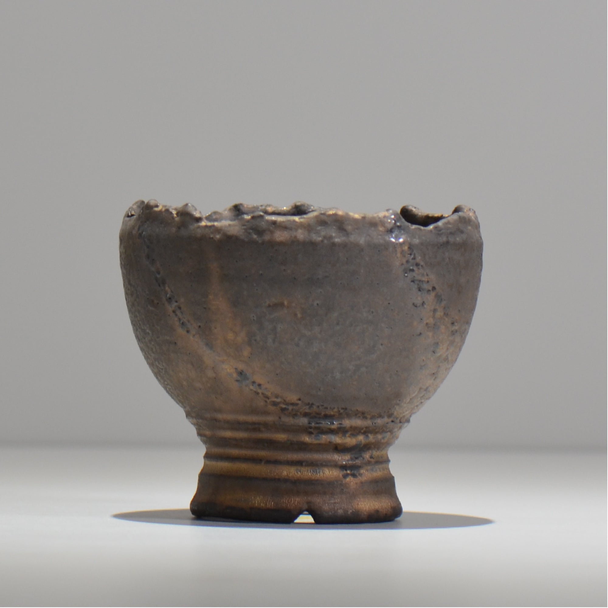 塊根植物・観葉植物の植木鉢専門店 「HACHILABO - ハチラボ- 」