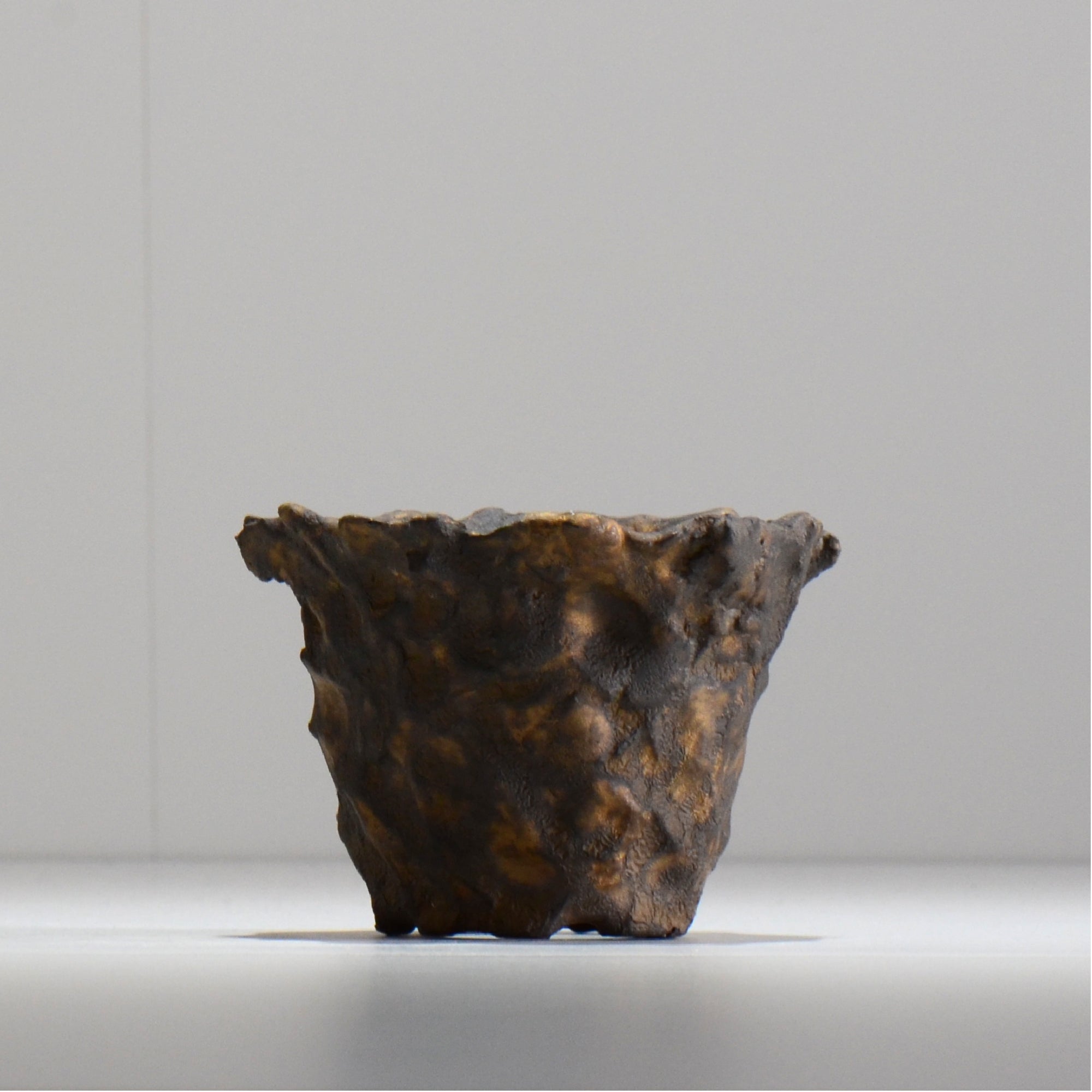 TAKASHI KIMURA/木村 貴史 – ハチラボ