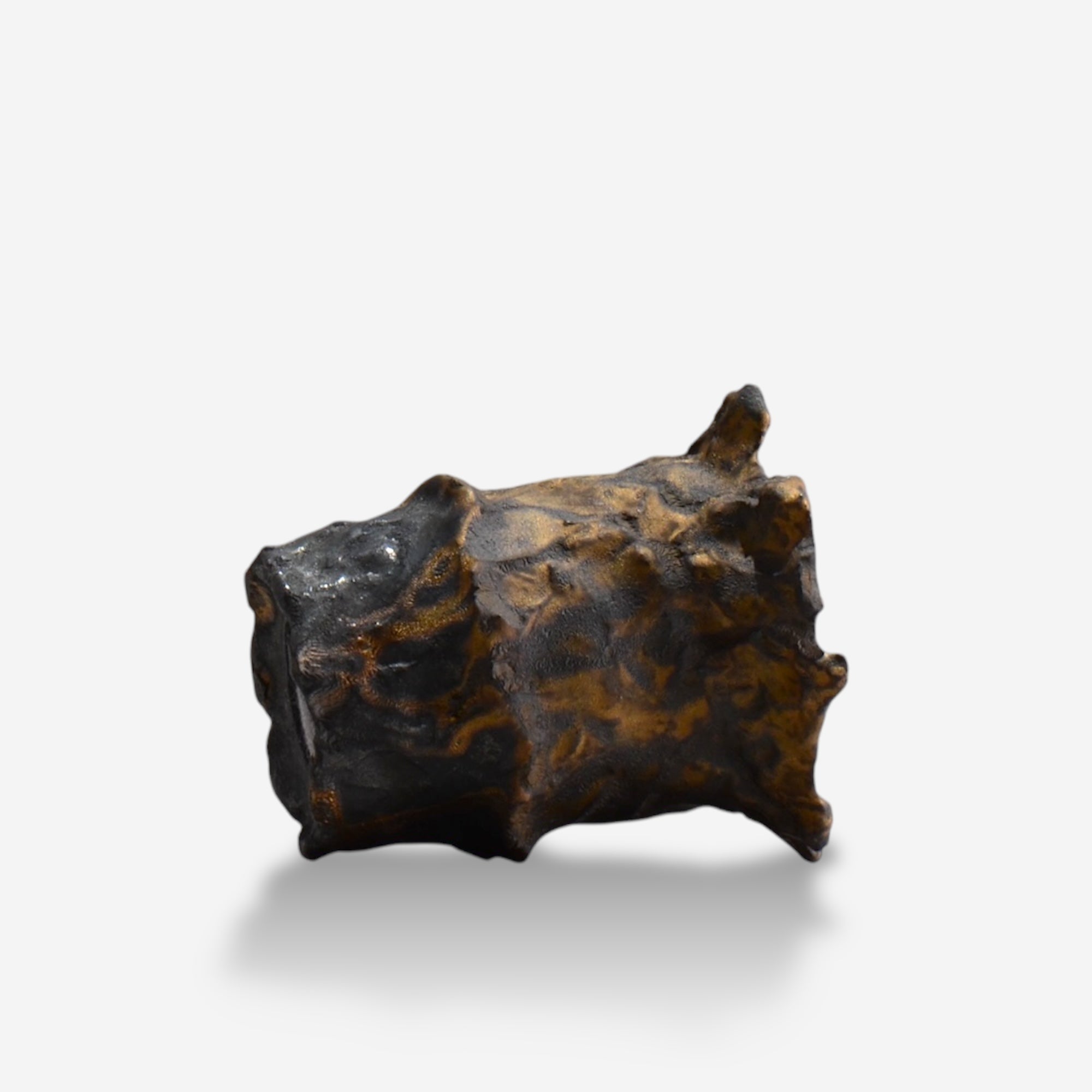 木村 貴史 / BRONZE_br007 /  約 φ10cm /  植木鉢