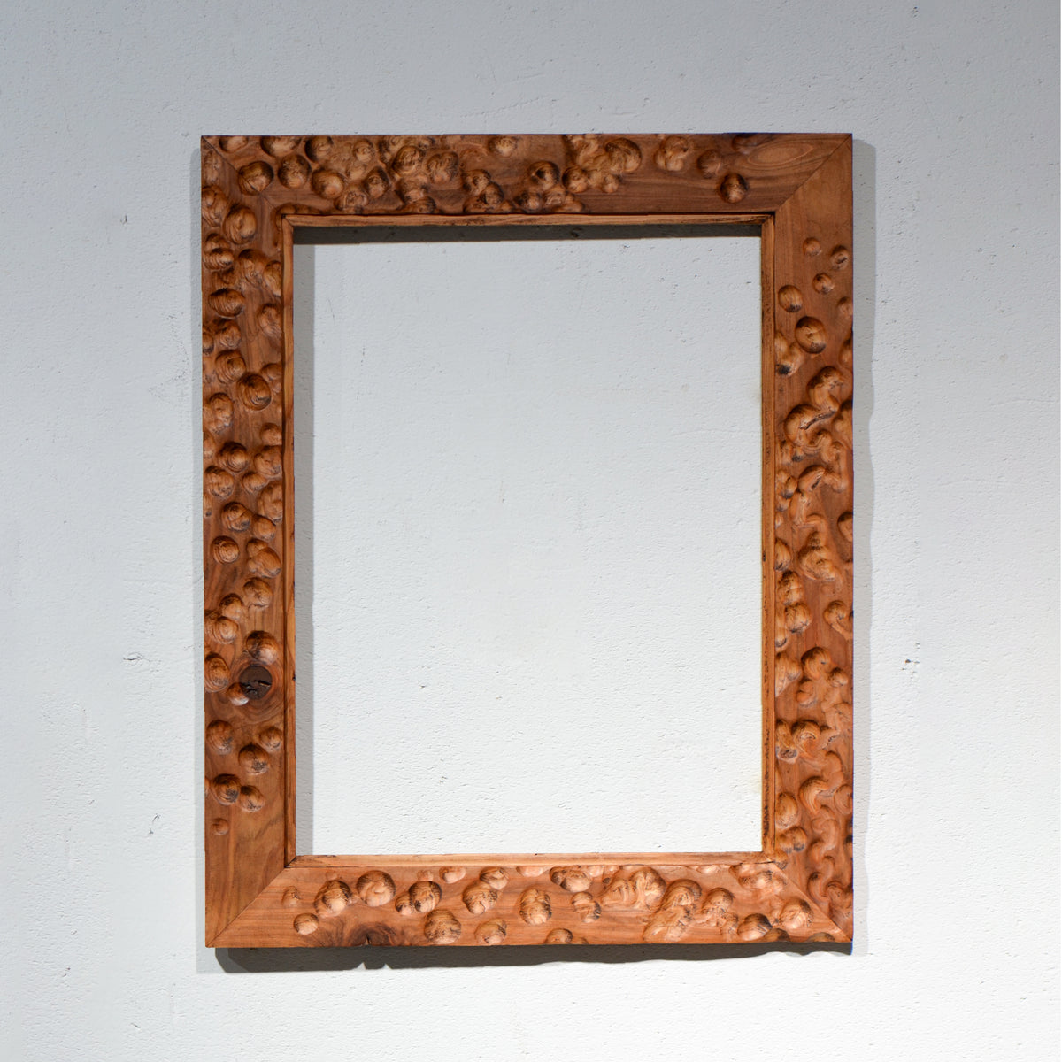 第3ワームホール：com / あぶくダーク（杉） /  com03_ana08_xl / W41cm × H51.5cm / ビカクシダ額