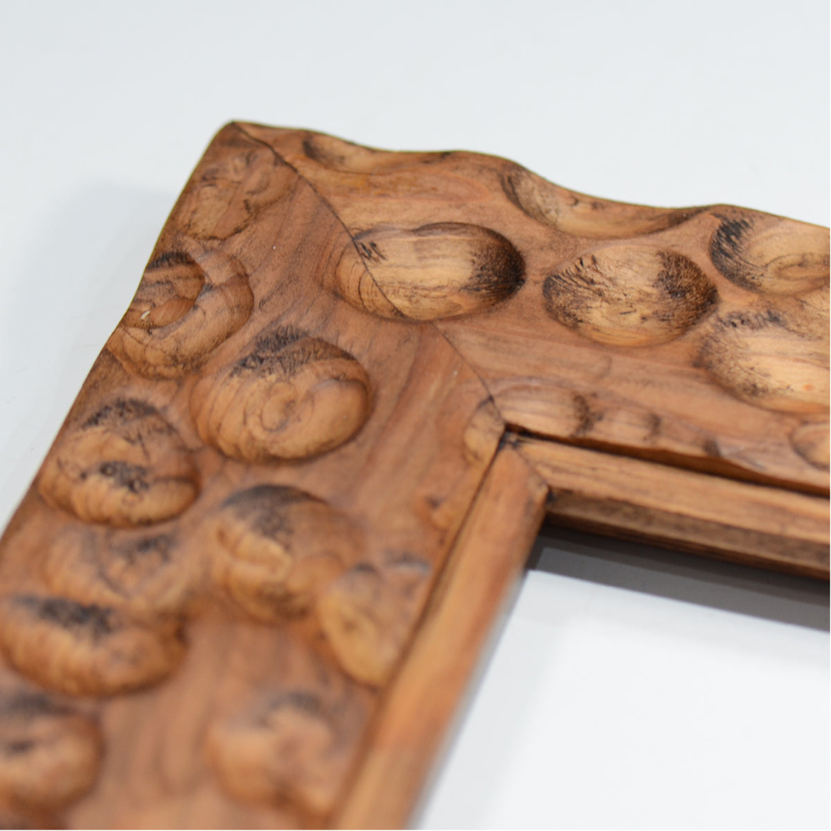 第3ワームホール：com / あぶくダーク（杉） /  com03_ana08_xl / W41cm × H51.5cm / ビカクシダ額