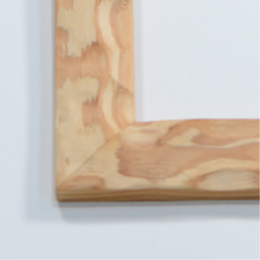 第3ワームホール：com / 雲紋(杉) /  com03_una11_xl / W35cm × H62.5cm / ビカクシダ額