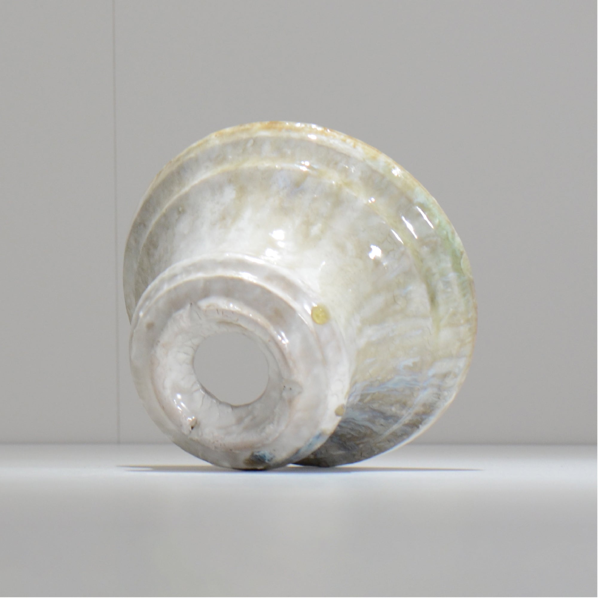 ヒノモトナツミ / 縁-ふち- /cone3_fu50_l/ 約φ15.6cm / 植木鉢