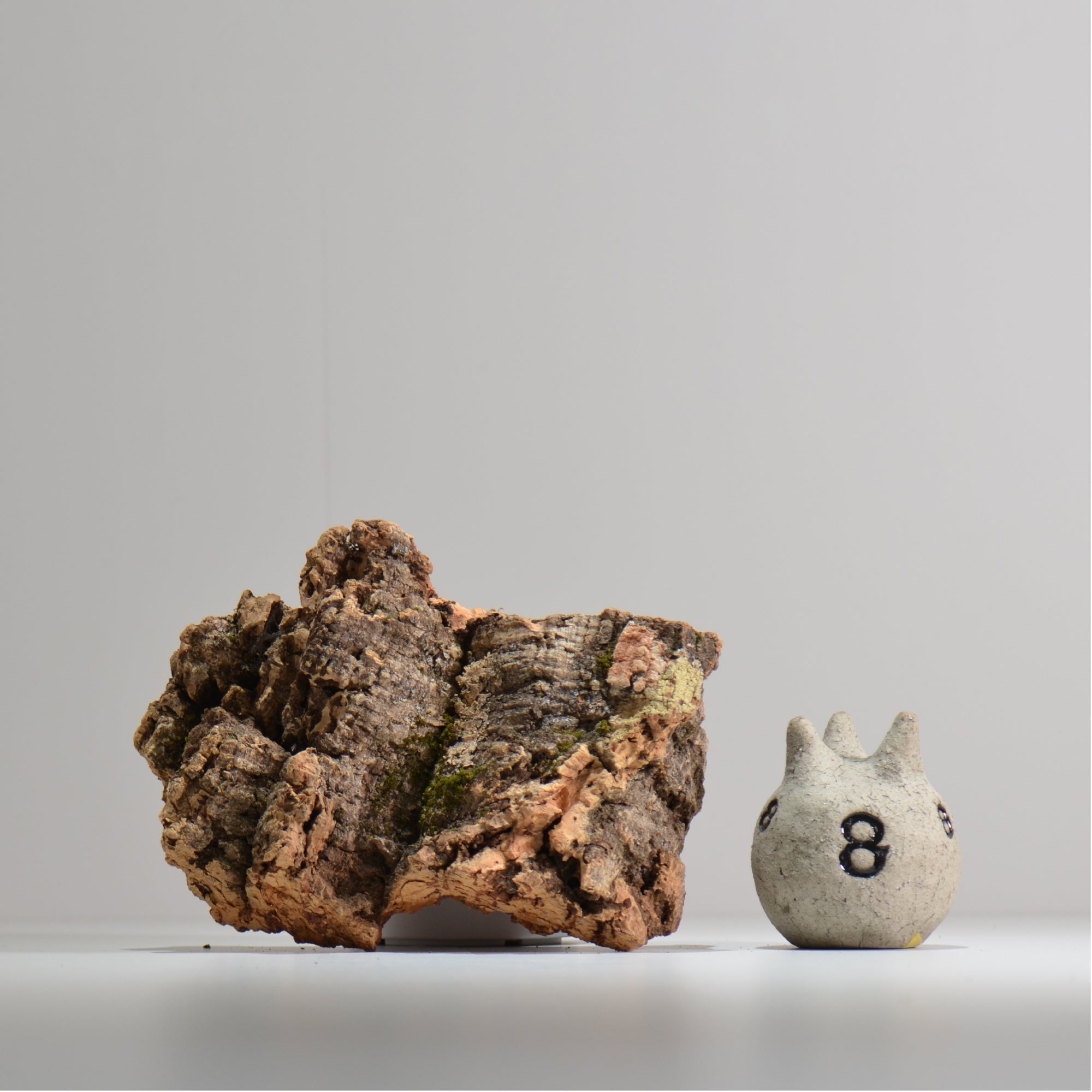 板付け用コルク / ビカクシダ / エアプランツ / 長辺約20cm / hachi_ko04_xl / 着生板