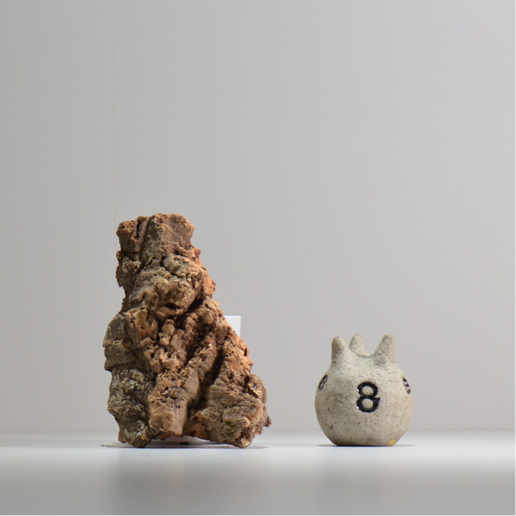 板付け用コルク / ビカクシダ / エアプランツ / 長辺約20cm / hachi_ko07_xl / 着生板