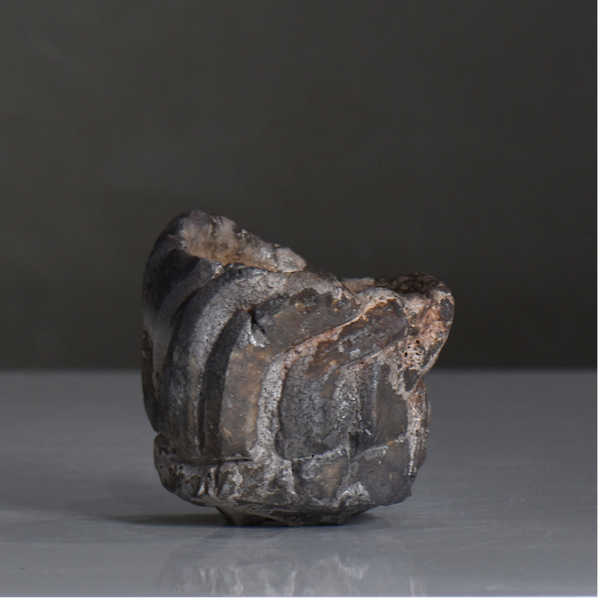 角谷啓男 / PILA / kf_pr06_xs / 約φ8cm / 植木鉢