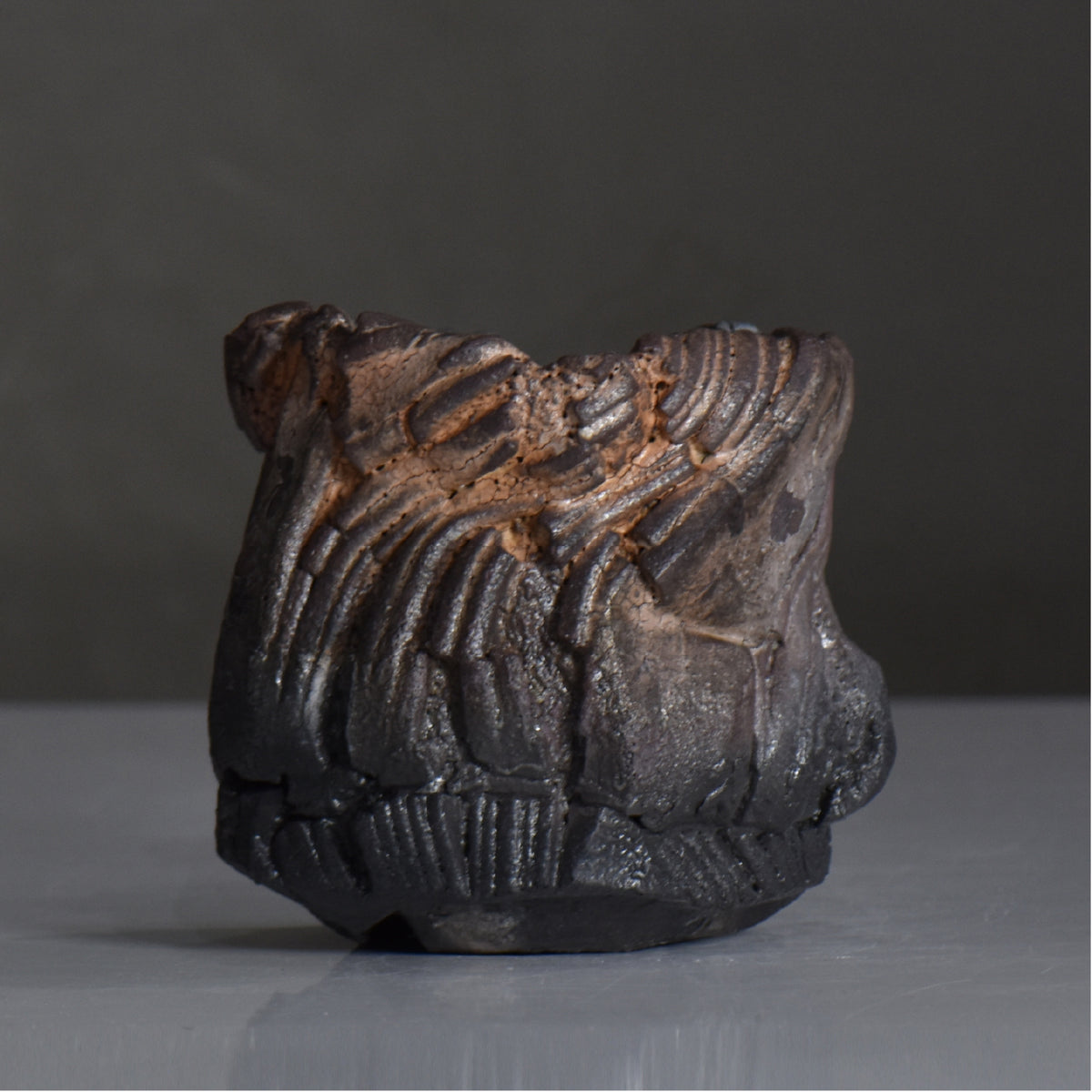 角谷啓男 / PILA / kf_pr17_s / 約φ11cm / 植木鉢