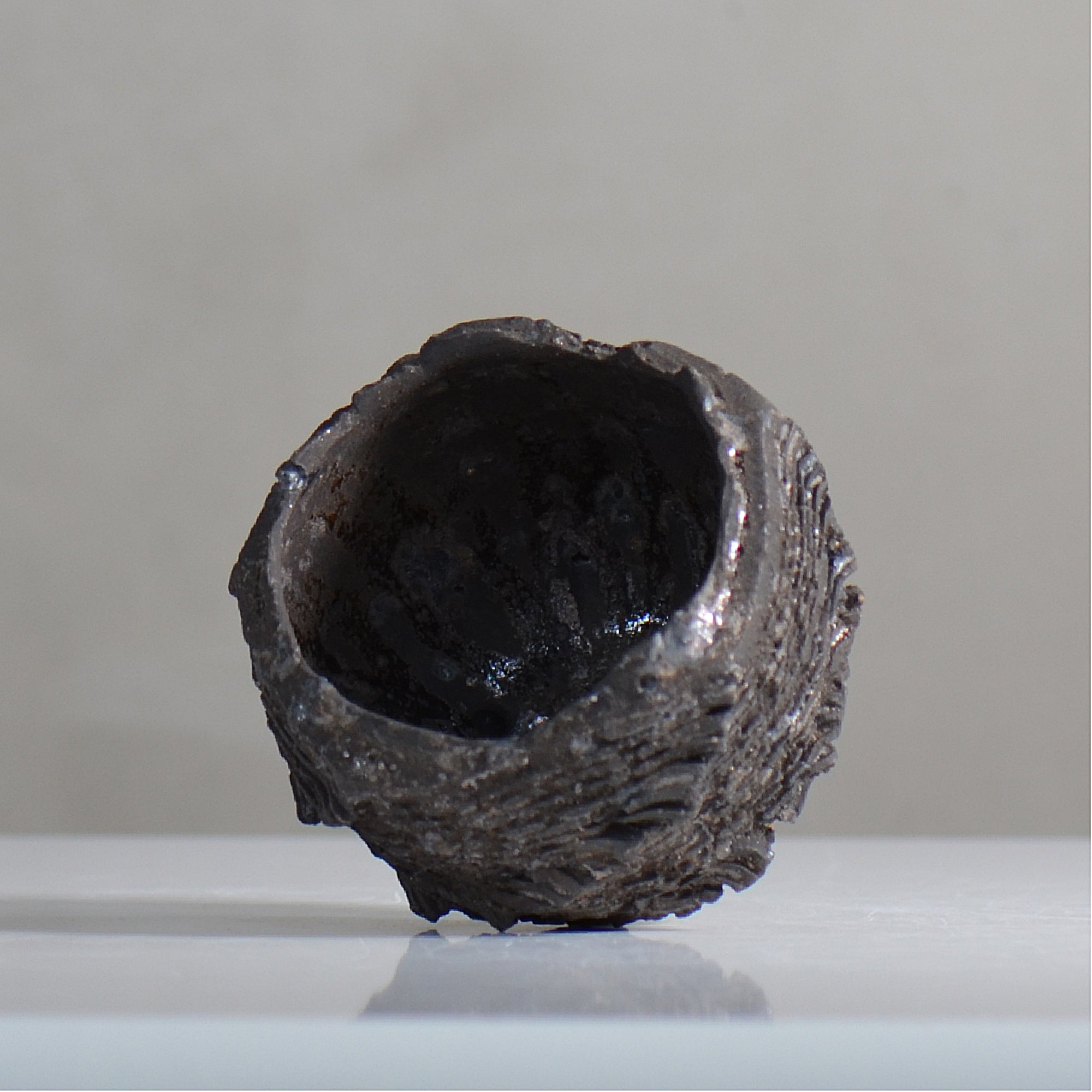 菊地元野 / DANSOU GLOSS ブラック / kg2_db04_xs /  約φ7.7cm / 植木鉢