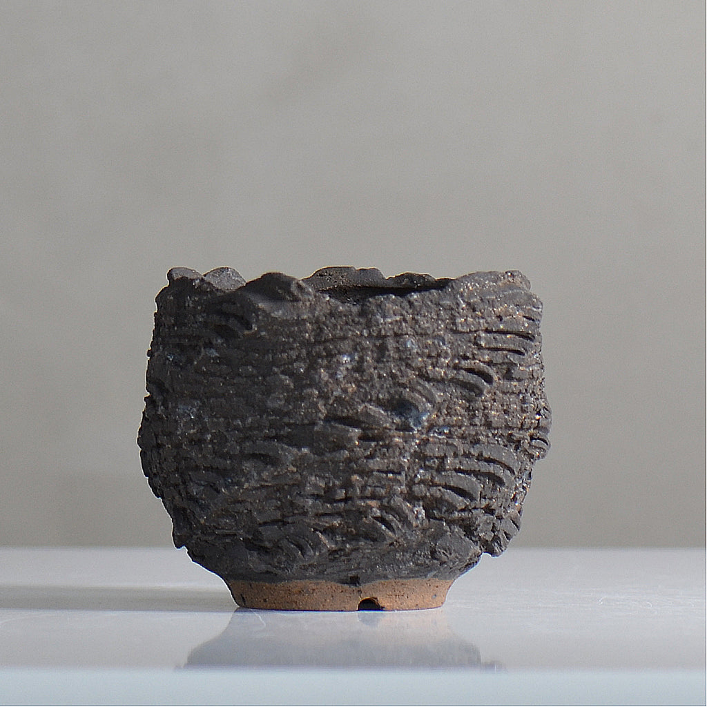 菊地元野 / DANSOU GLOSS ブラック / kg2_db05_xs /  約φ8cm / 植木鉢