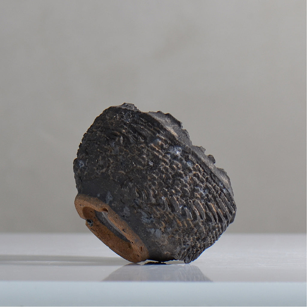 菊地元野 / DANSOU GLOSS ブラック / kg2_db08_xs /  約φ8.2cm / 植木鉢