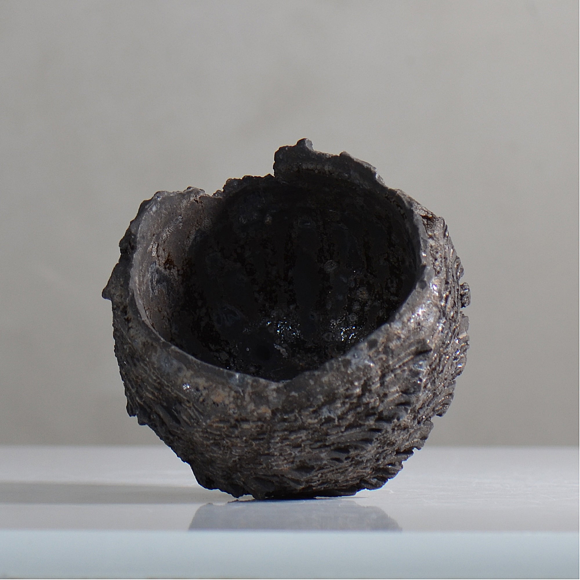 菊地元野 / DANSOU GLOSS ブラック / kg2_db13_s /  約φ10cm / 植木鉢